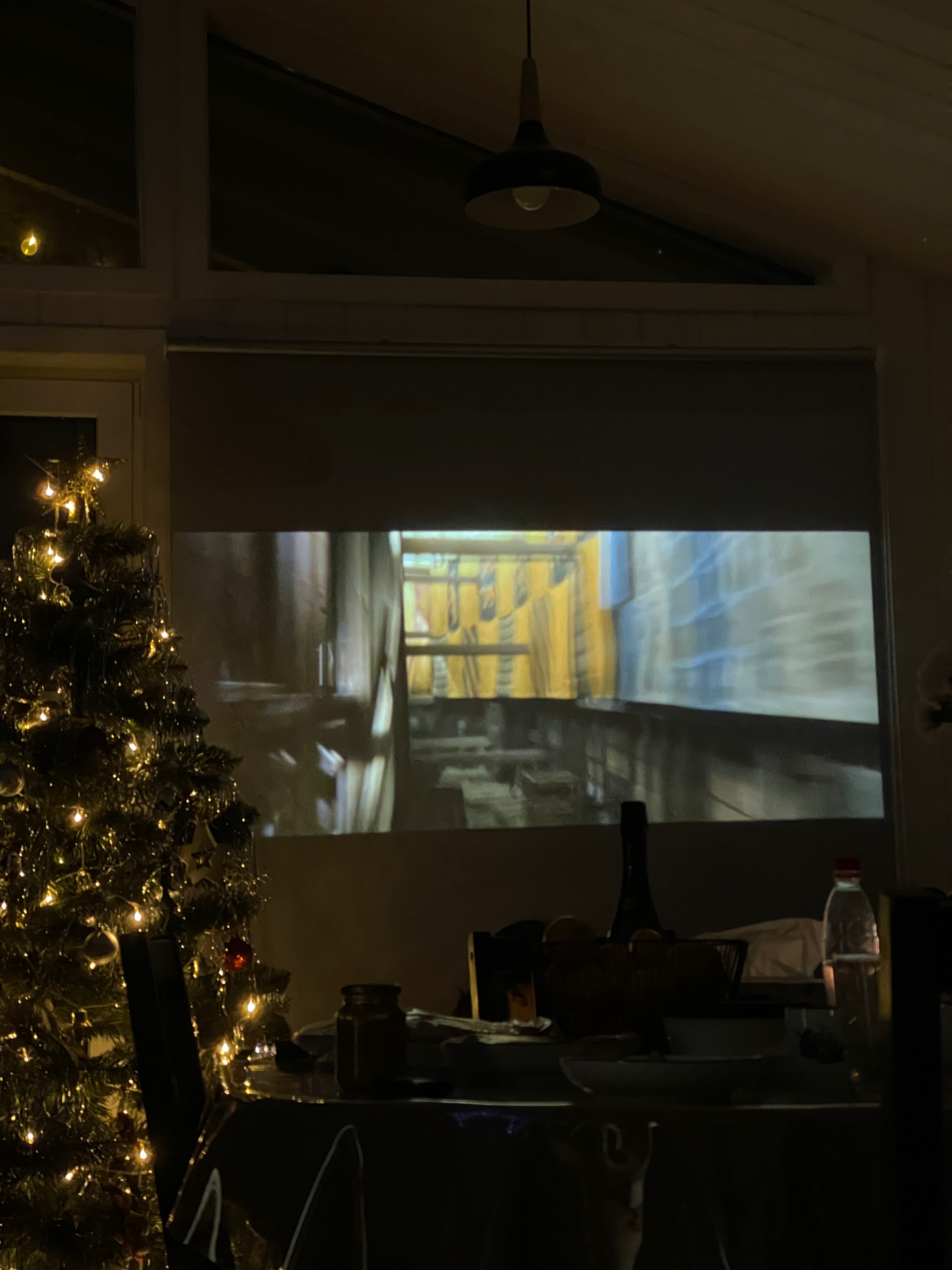 Фото Секвойя