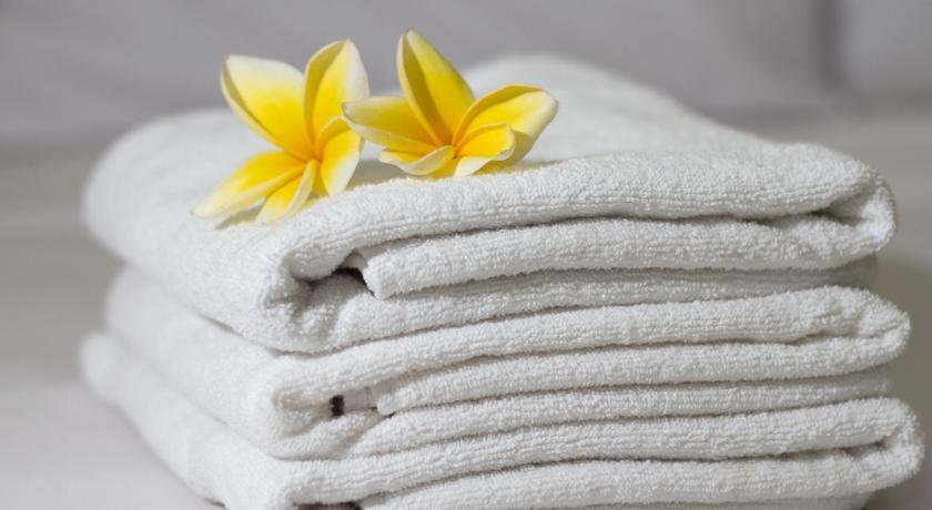 Фото House of Arsonia Tulip