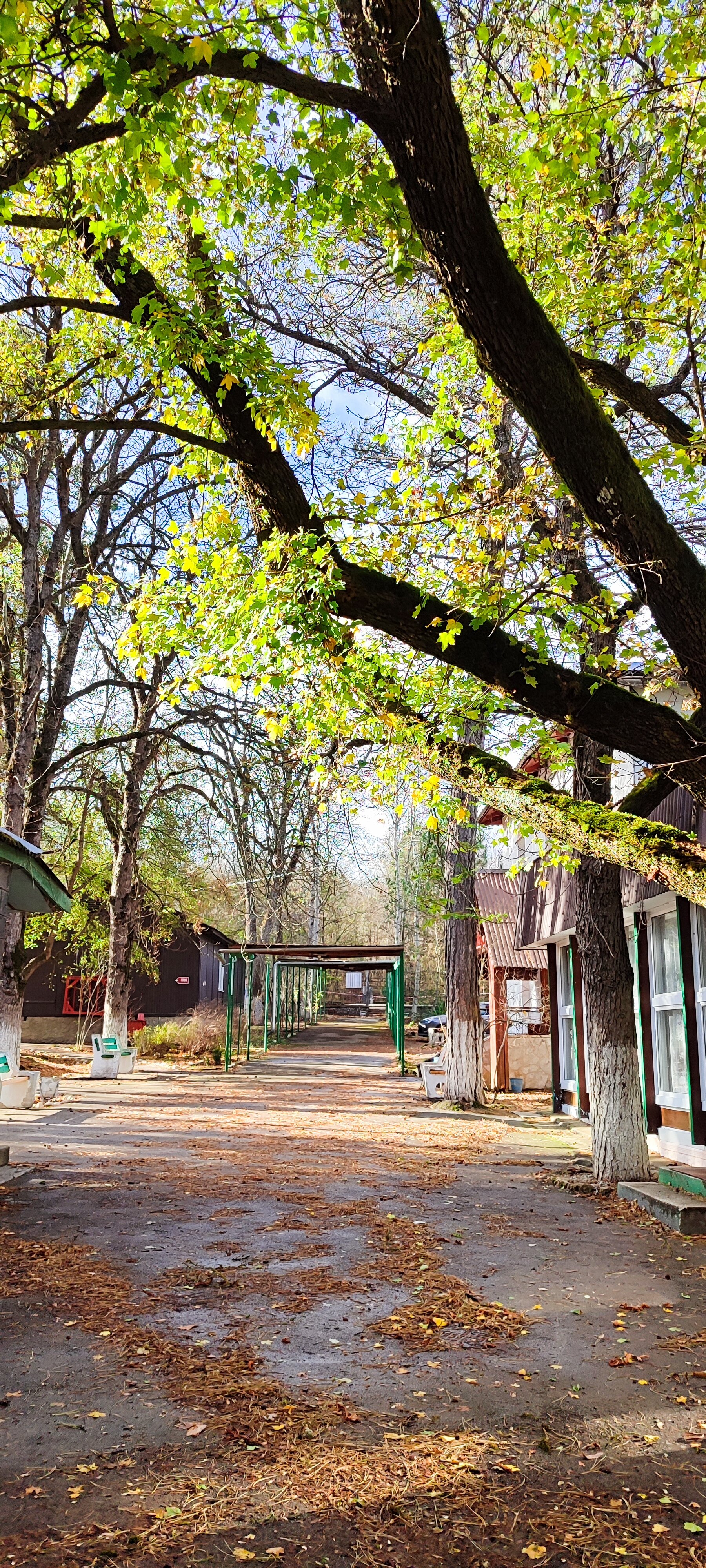 Фото Орлиный залет