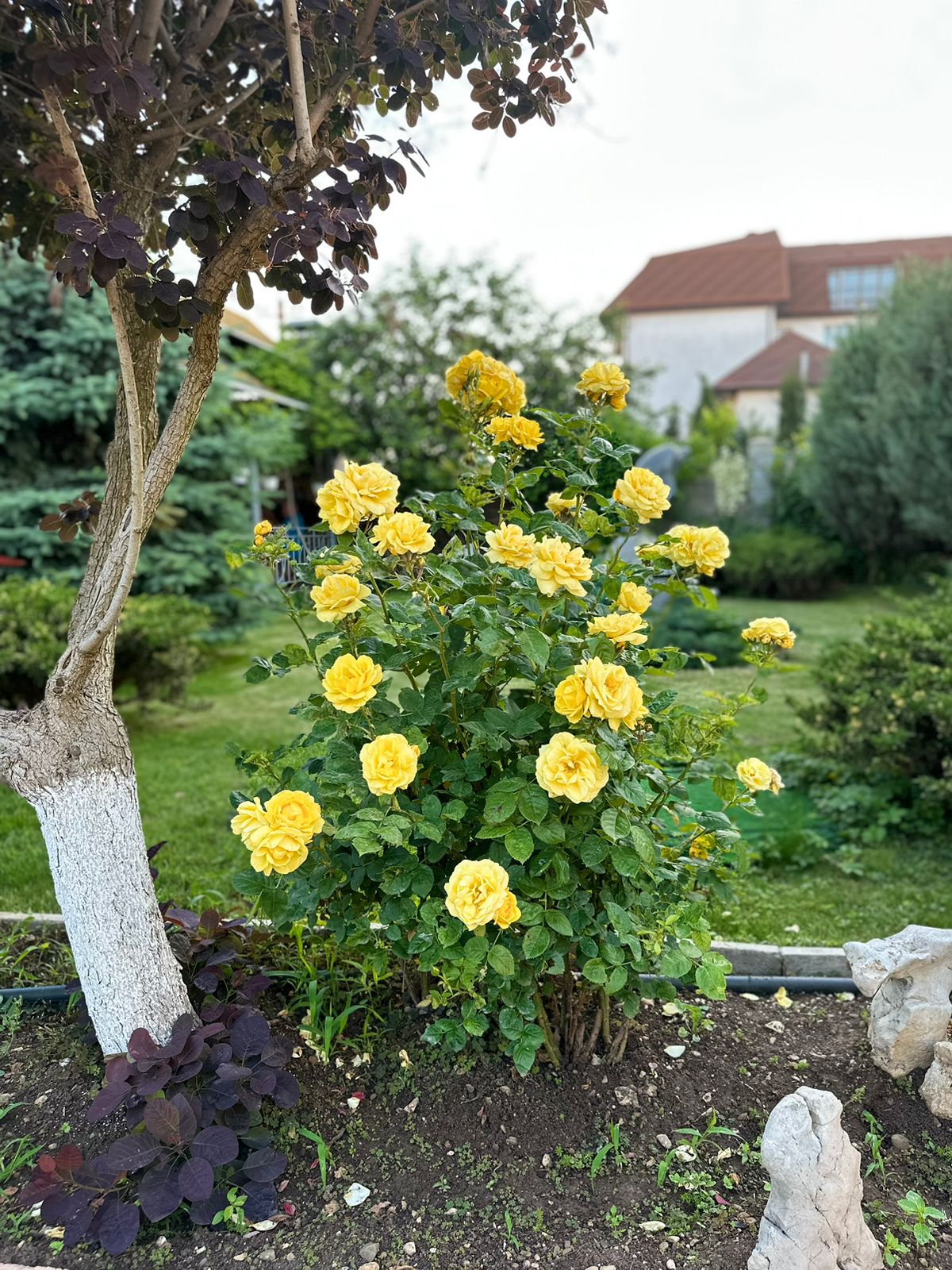 Фото ВИКТОРиЯ