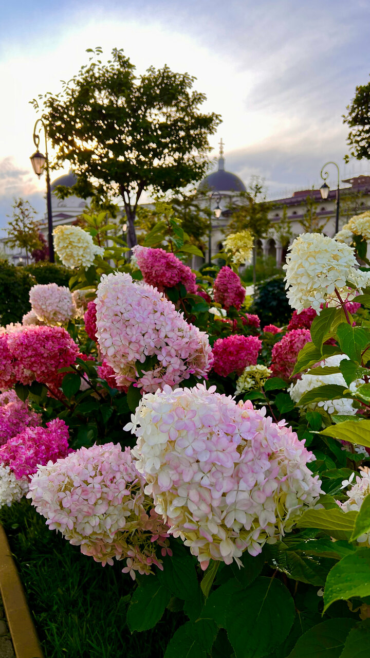 Секс видео Tochiki dukhtar