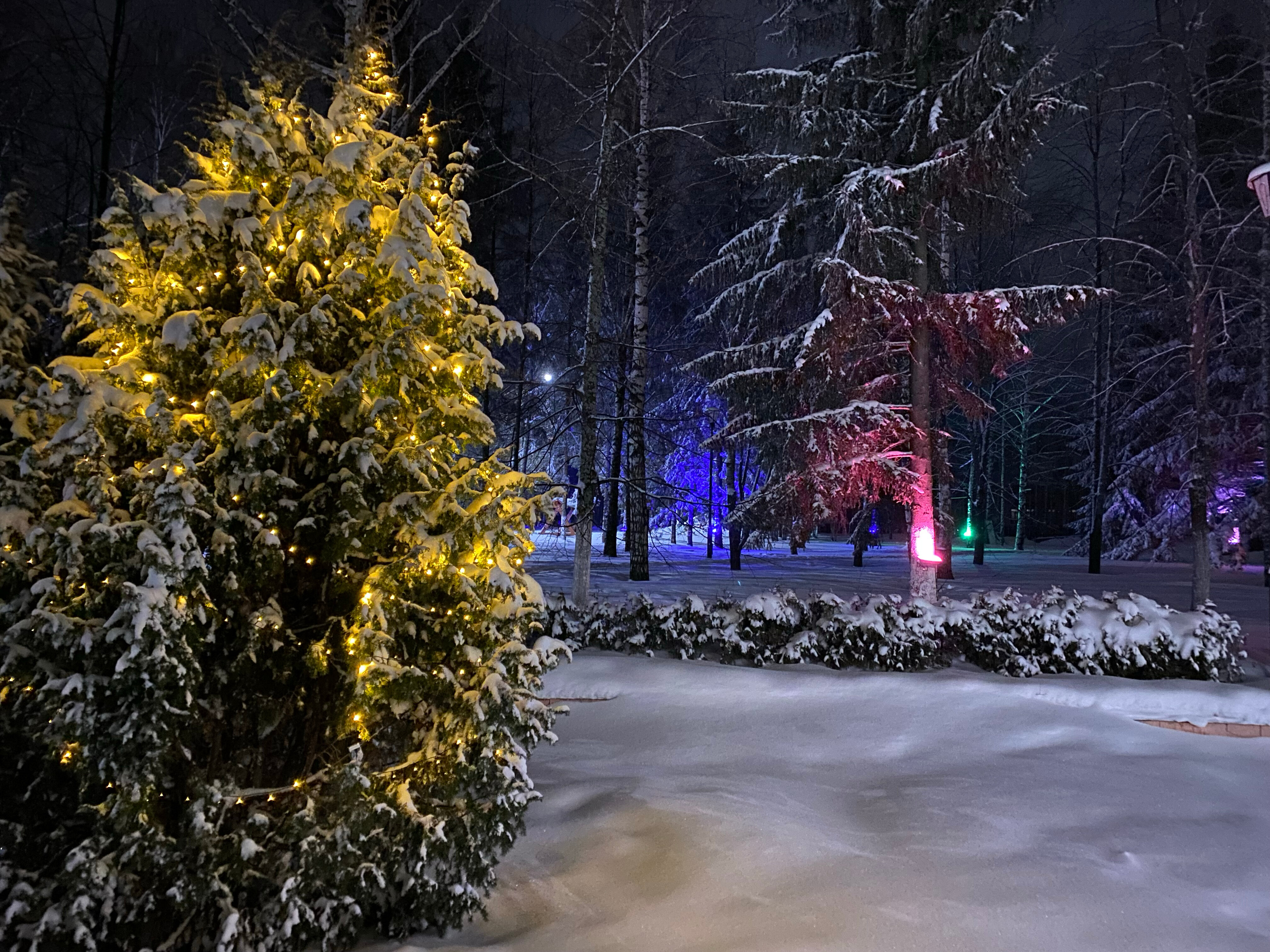 Фото Волжанка