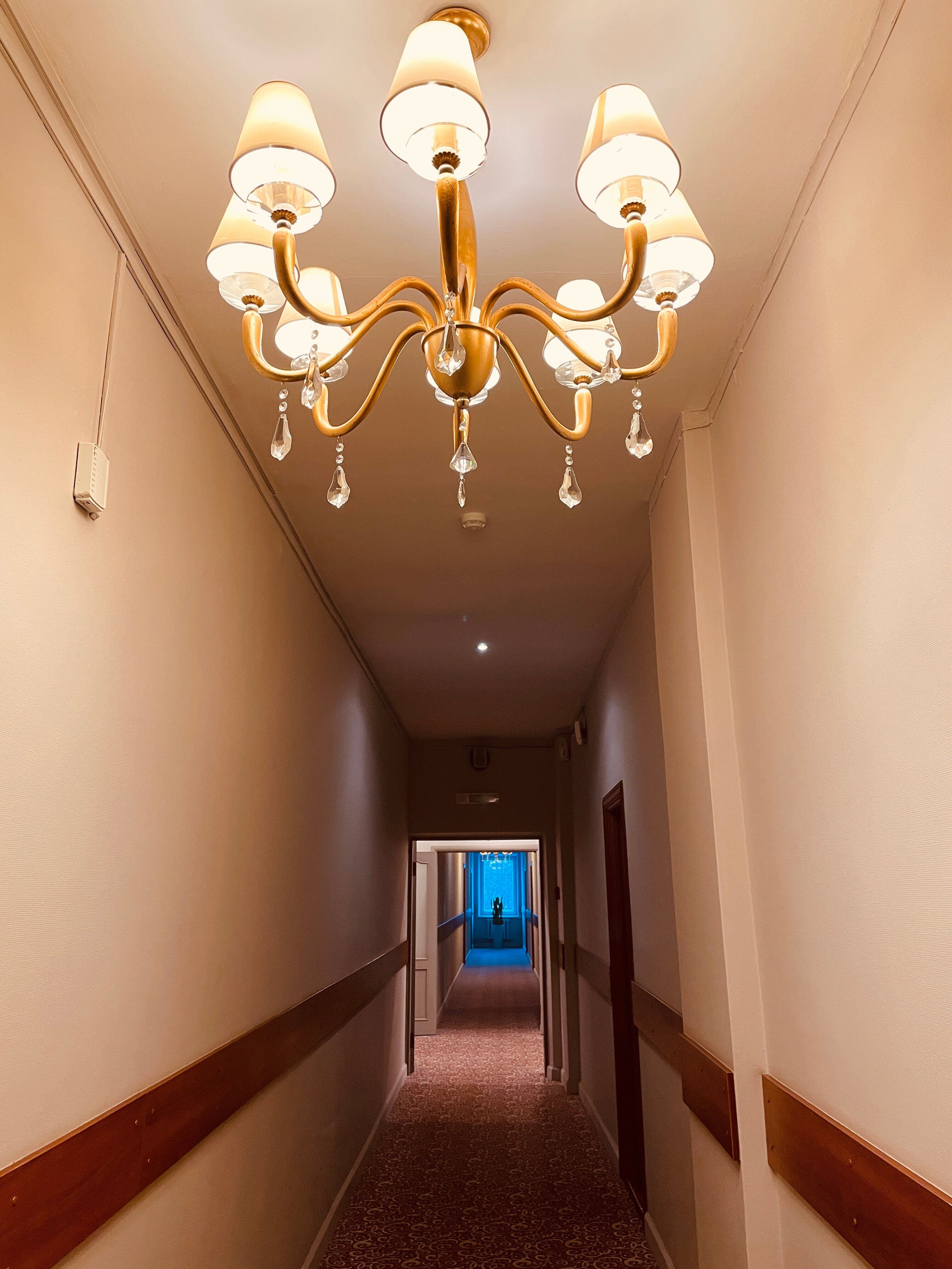 Фото Звёздный