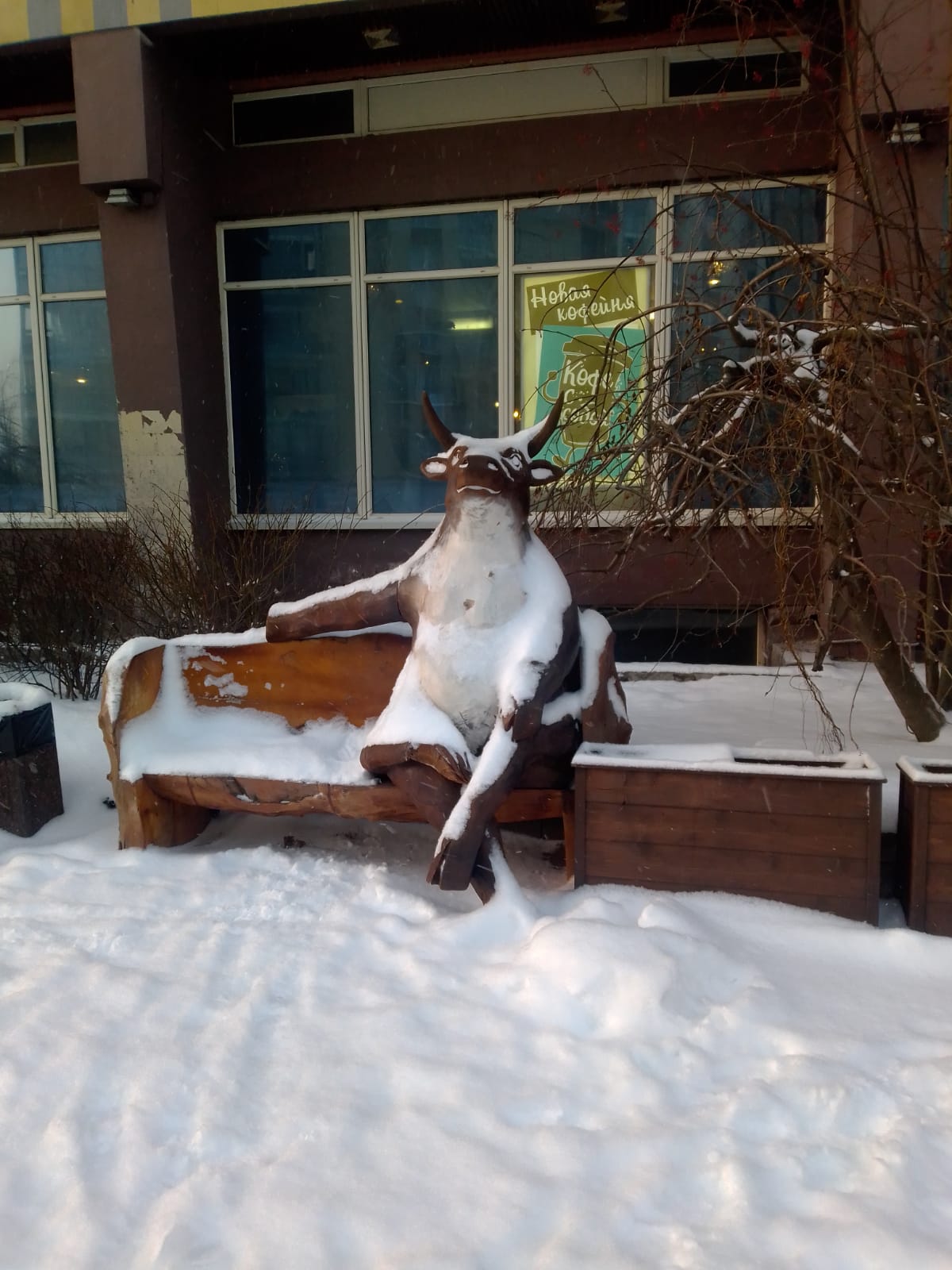 Фото Карелия