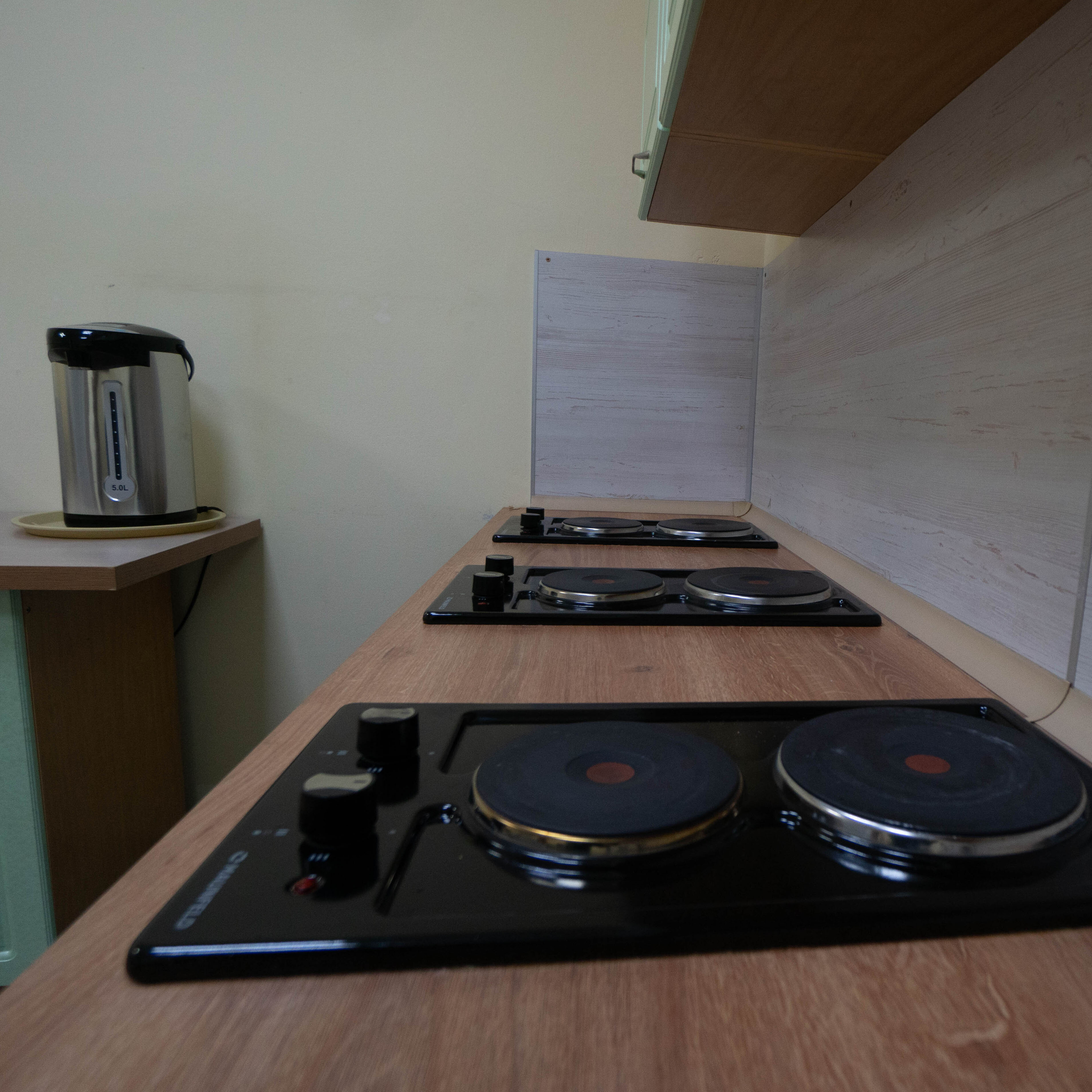 Фото Все медведи