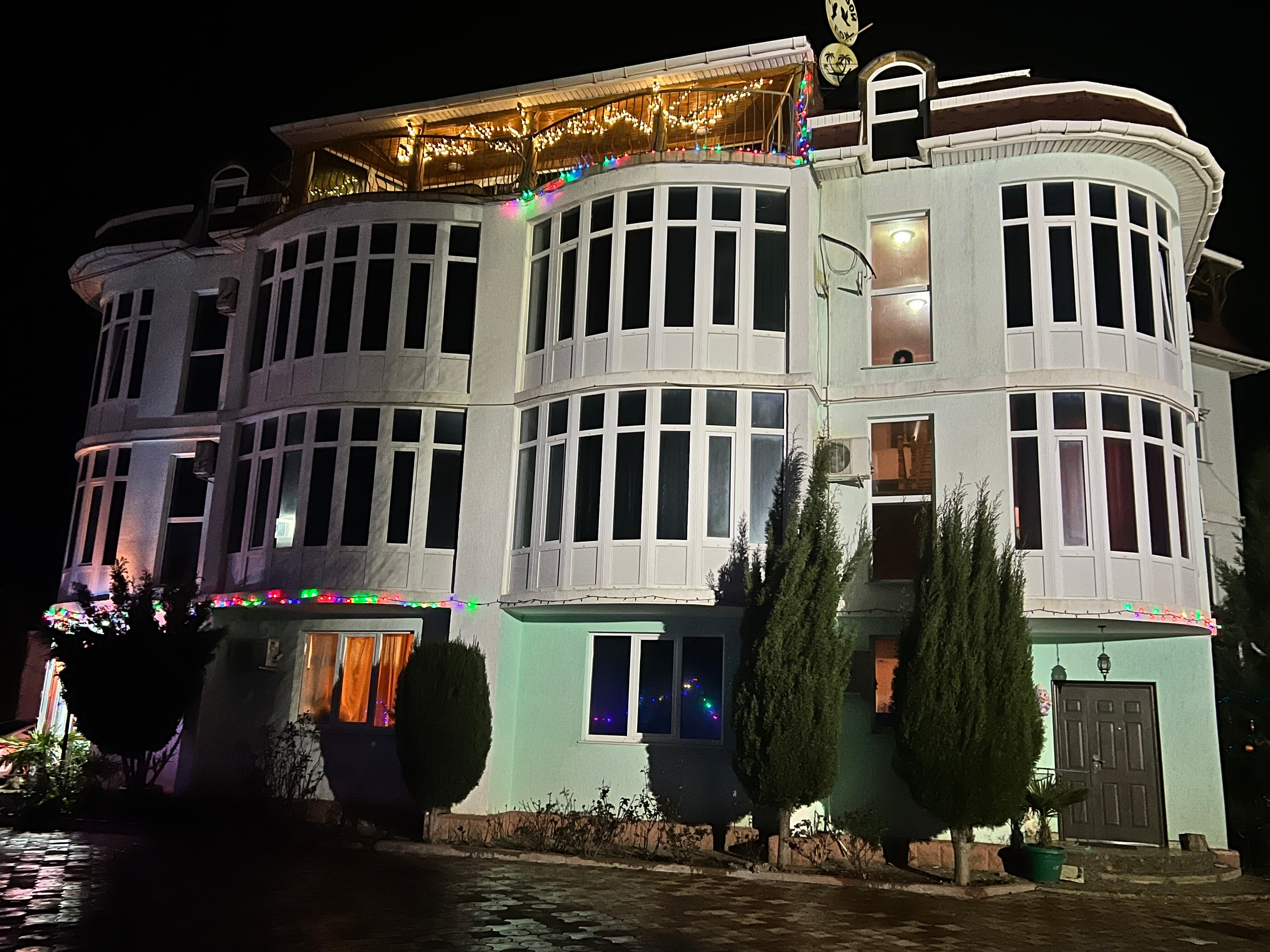 Фото Воробьиное гнездо