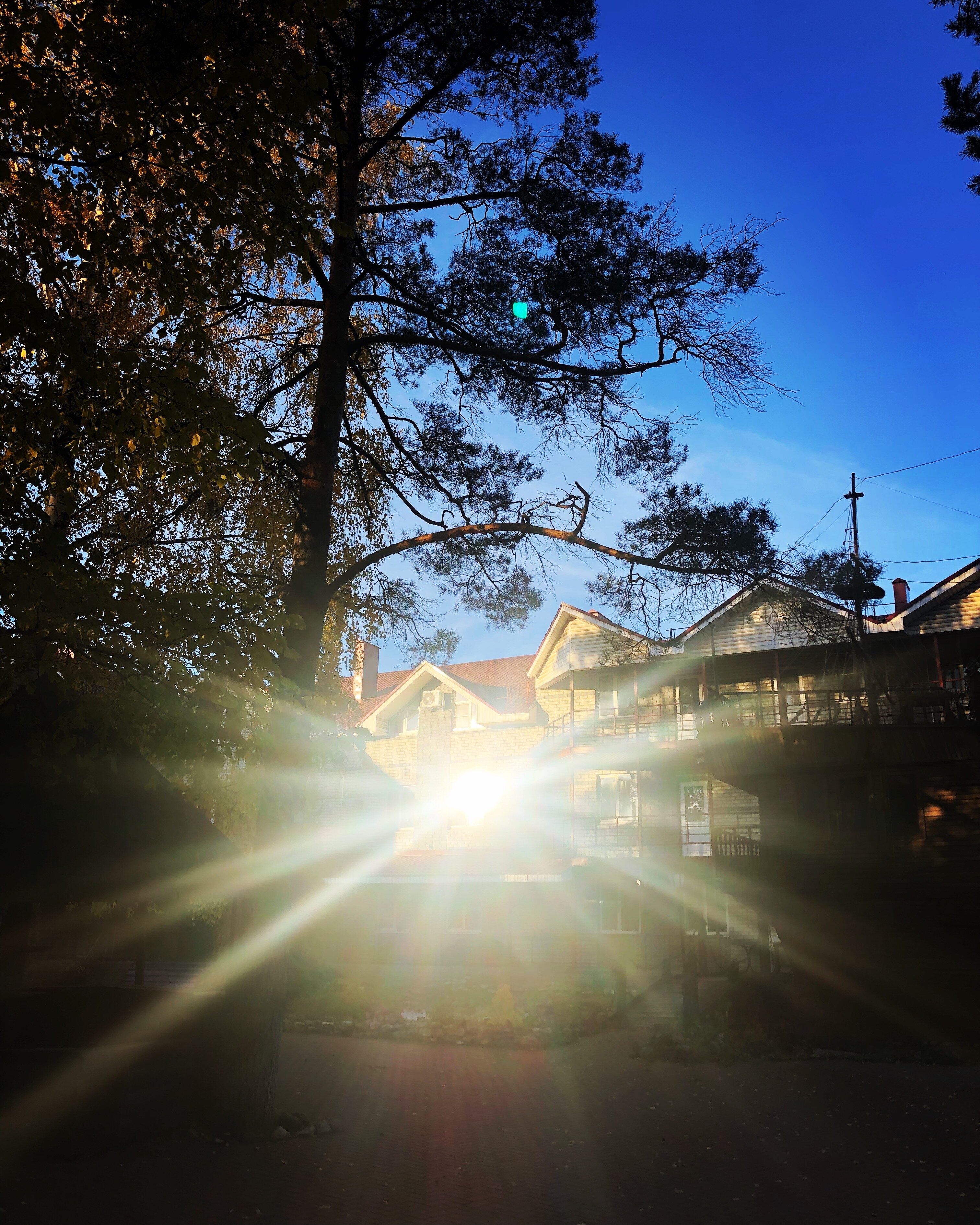 Фото Деловой клуб