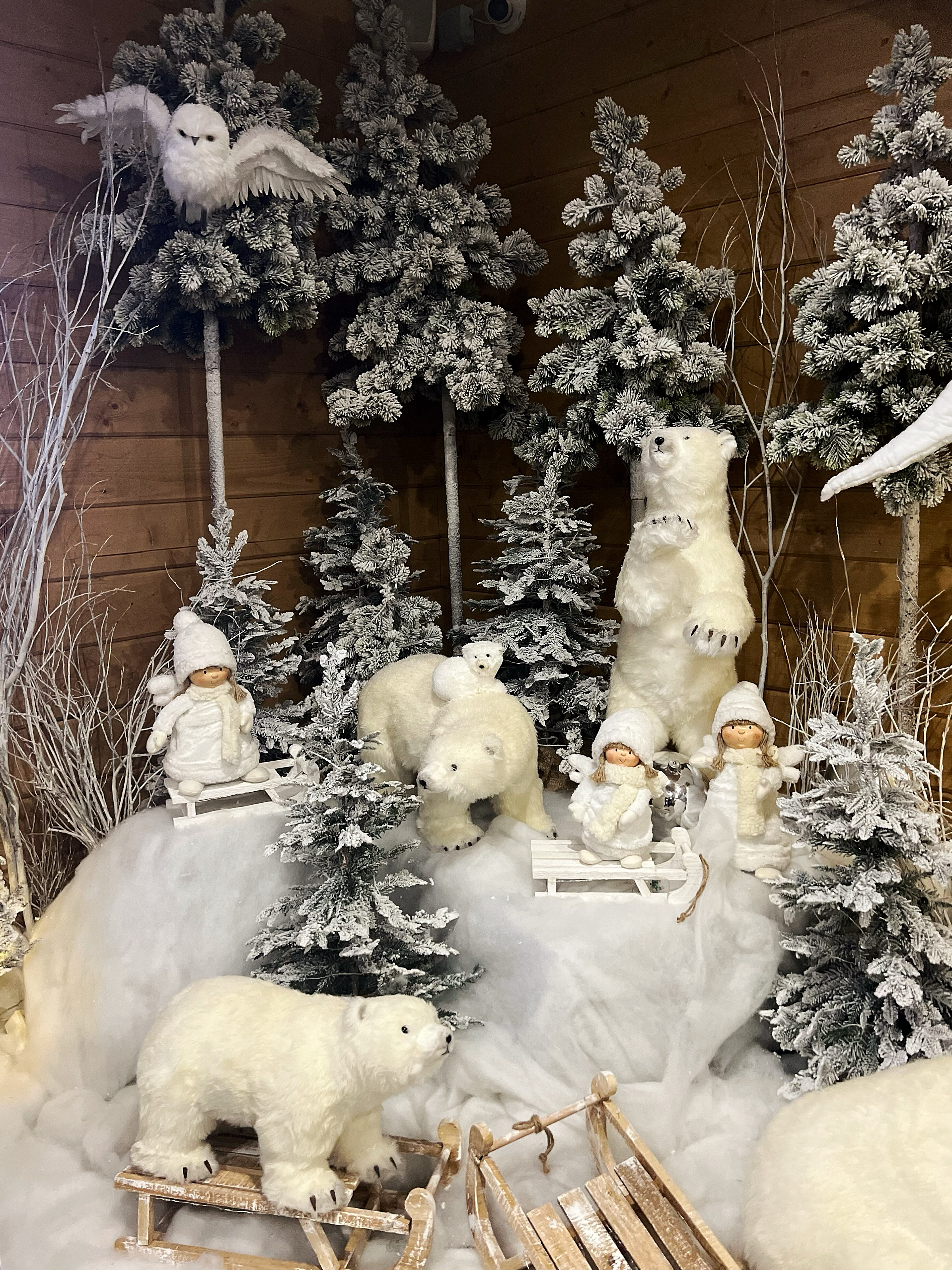 Фото Жемчужина