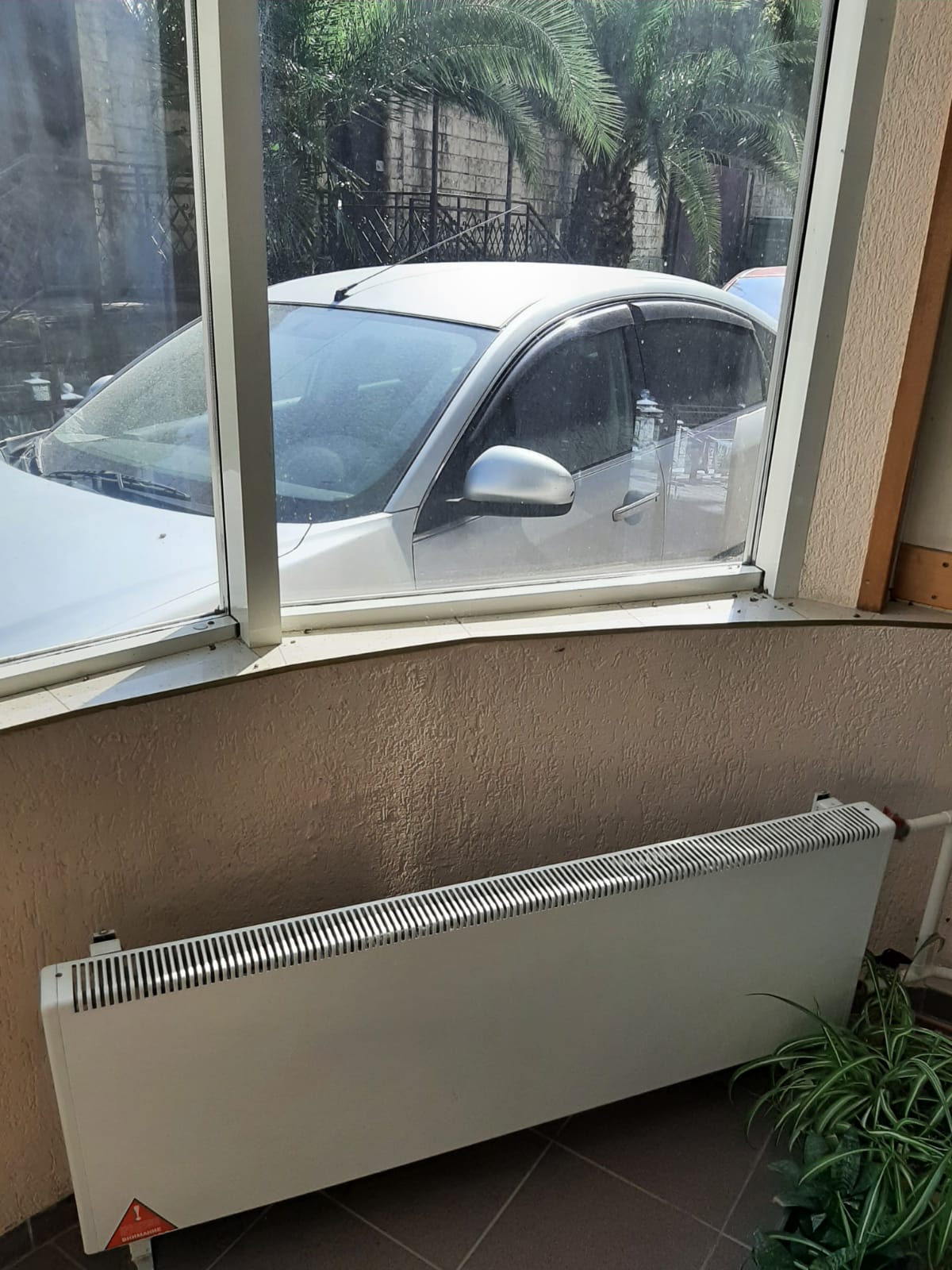 Фото Золотая пальма