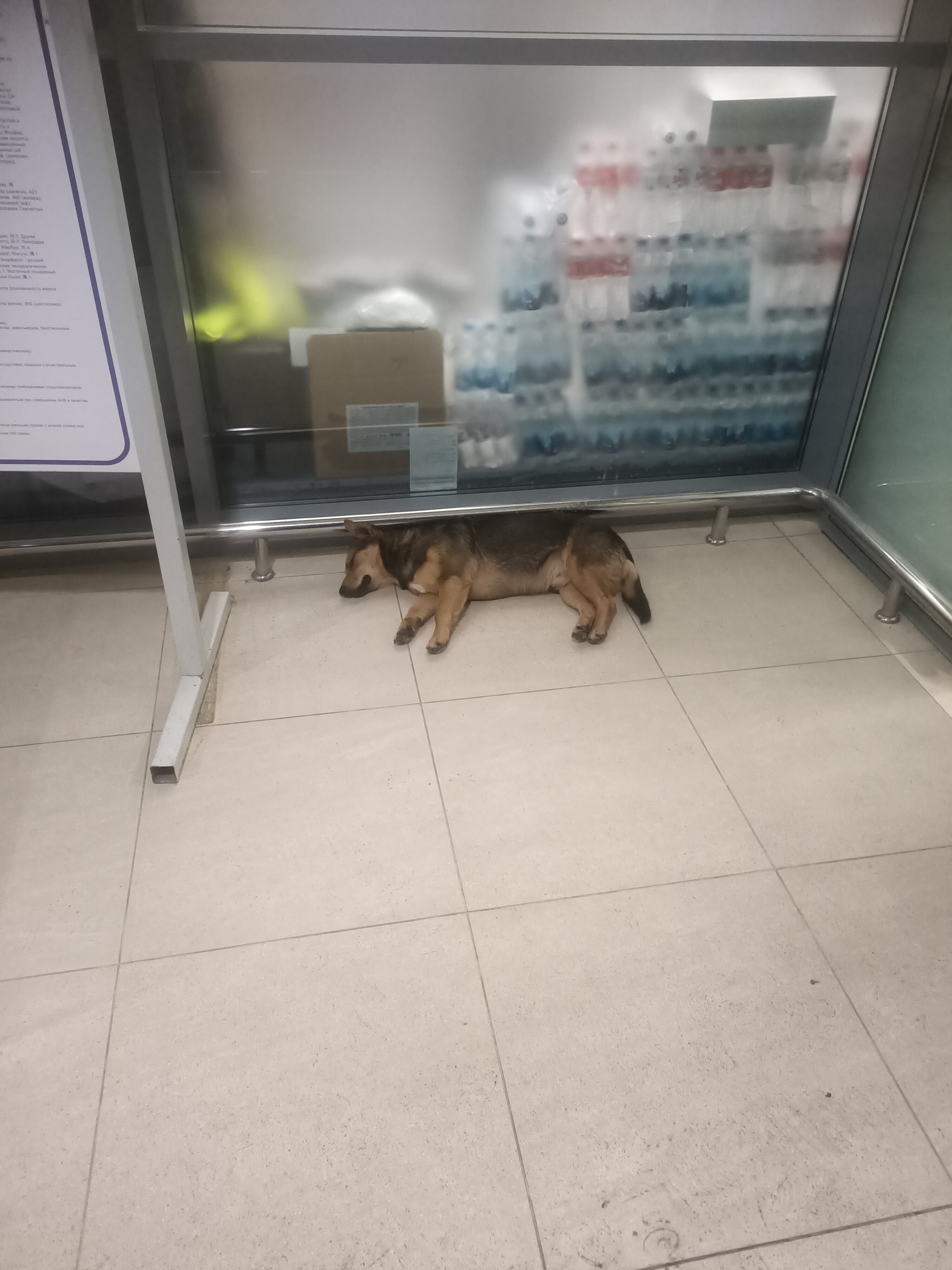 Фото Гостиница Аэропорт Волгоград