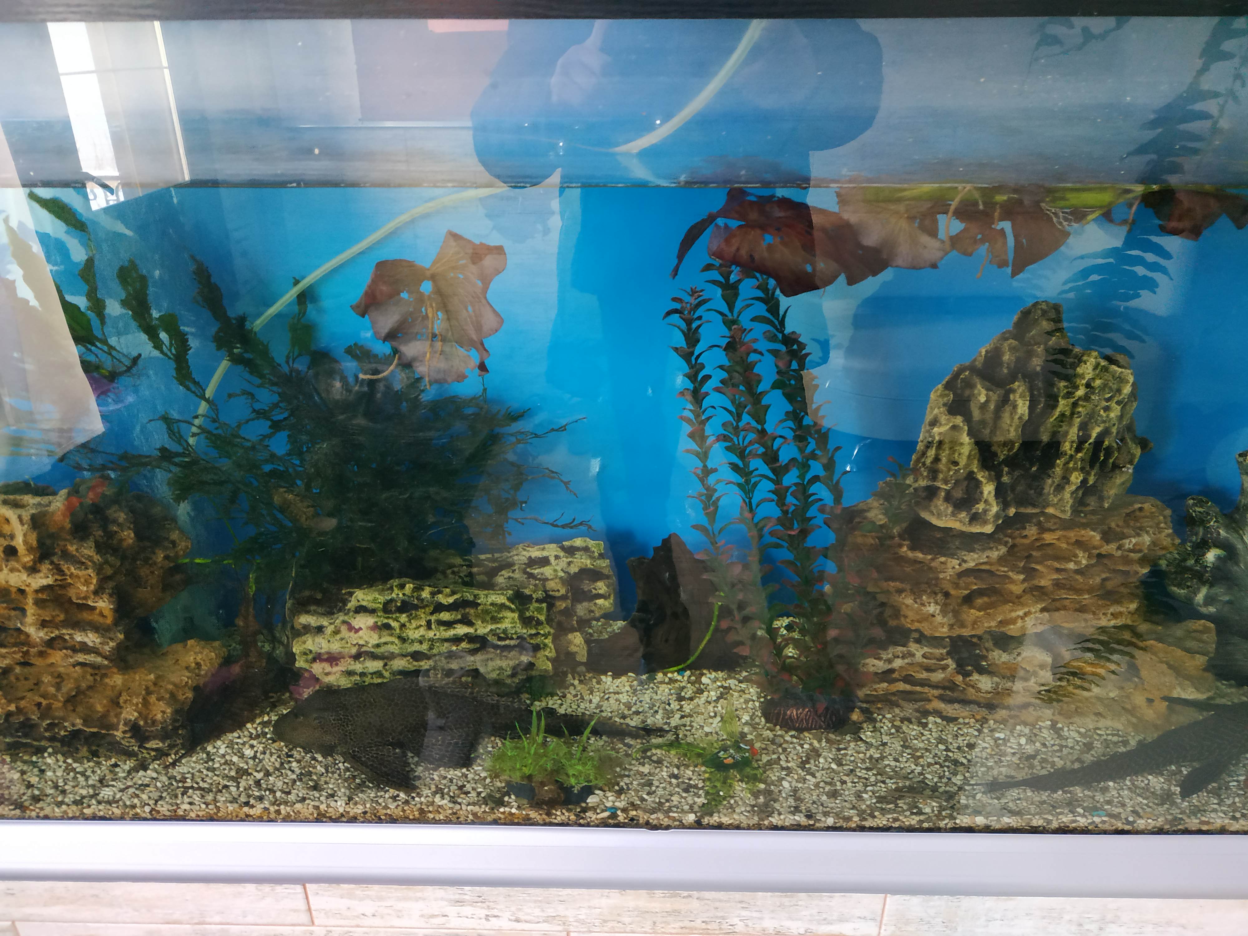 Фото Камчатдар