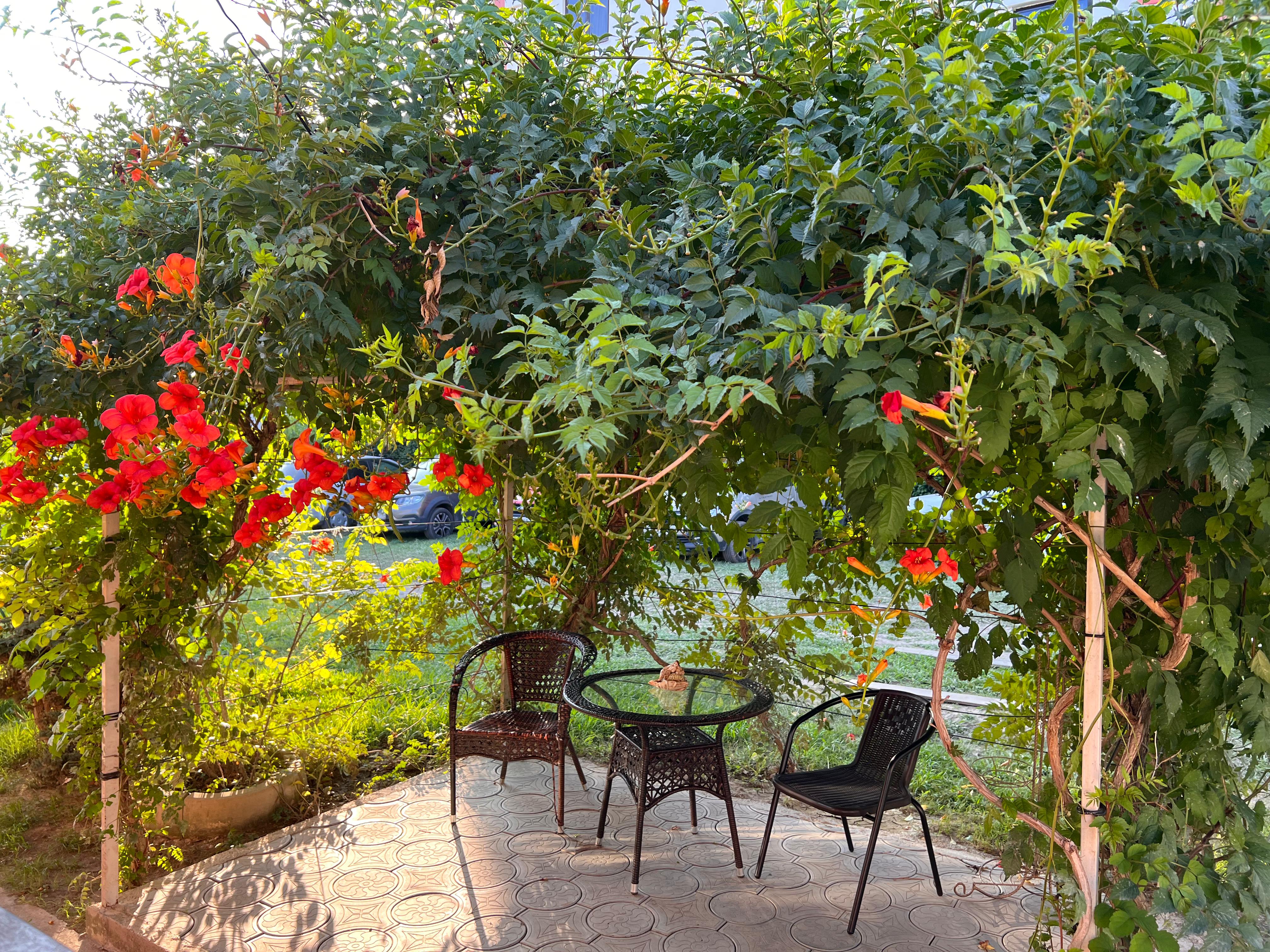 Фото Гостевой дом Сали