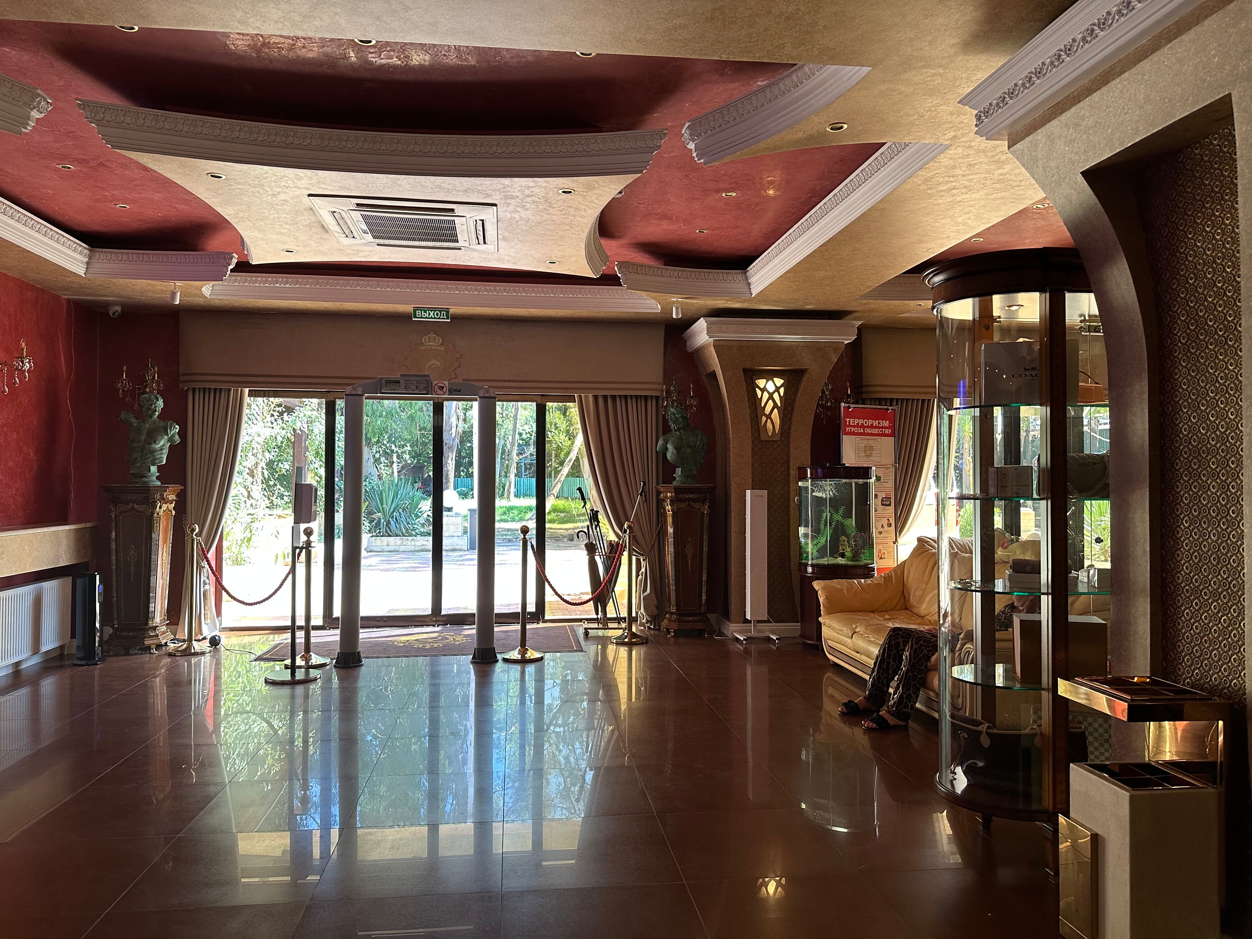 Фото Золотой дельфин