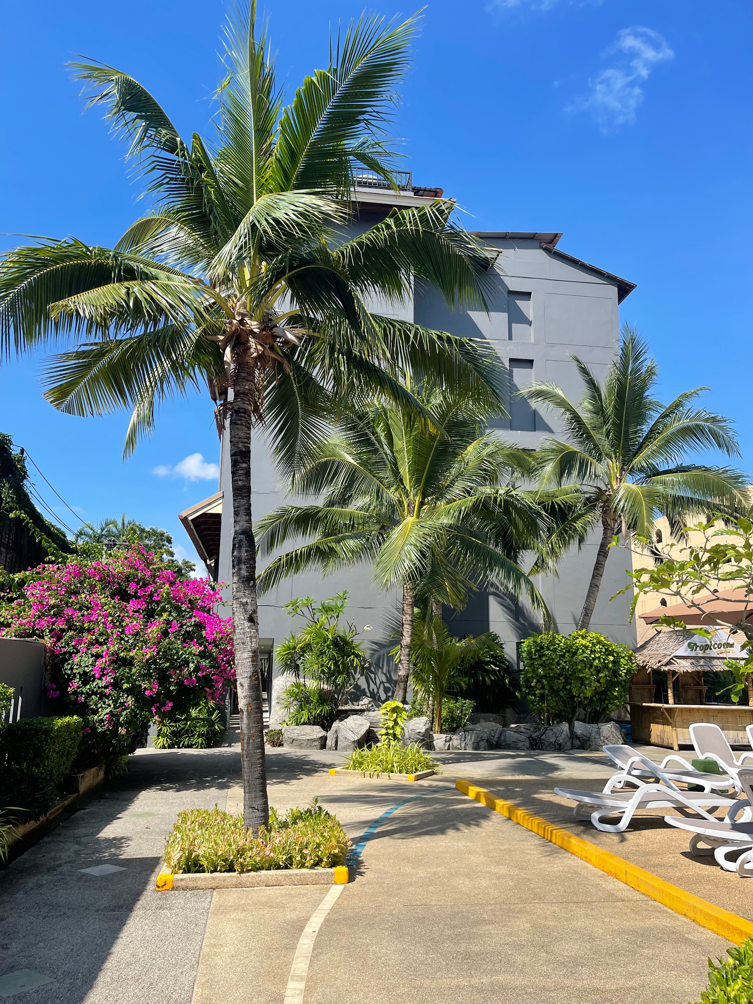 Фото Tuana Hotels Casa Del Sol