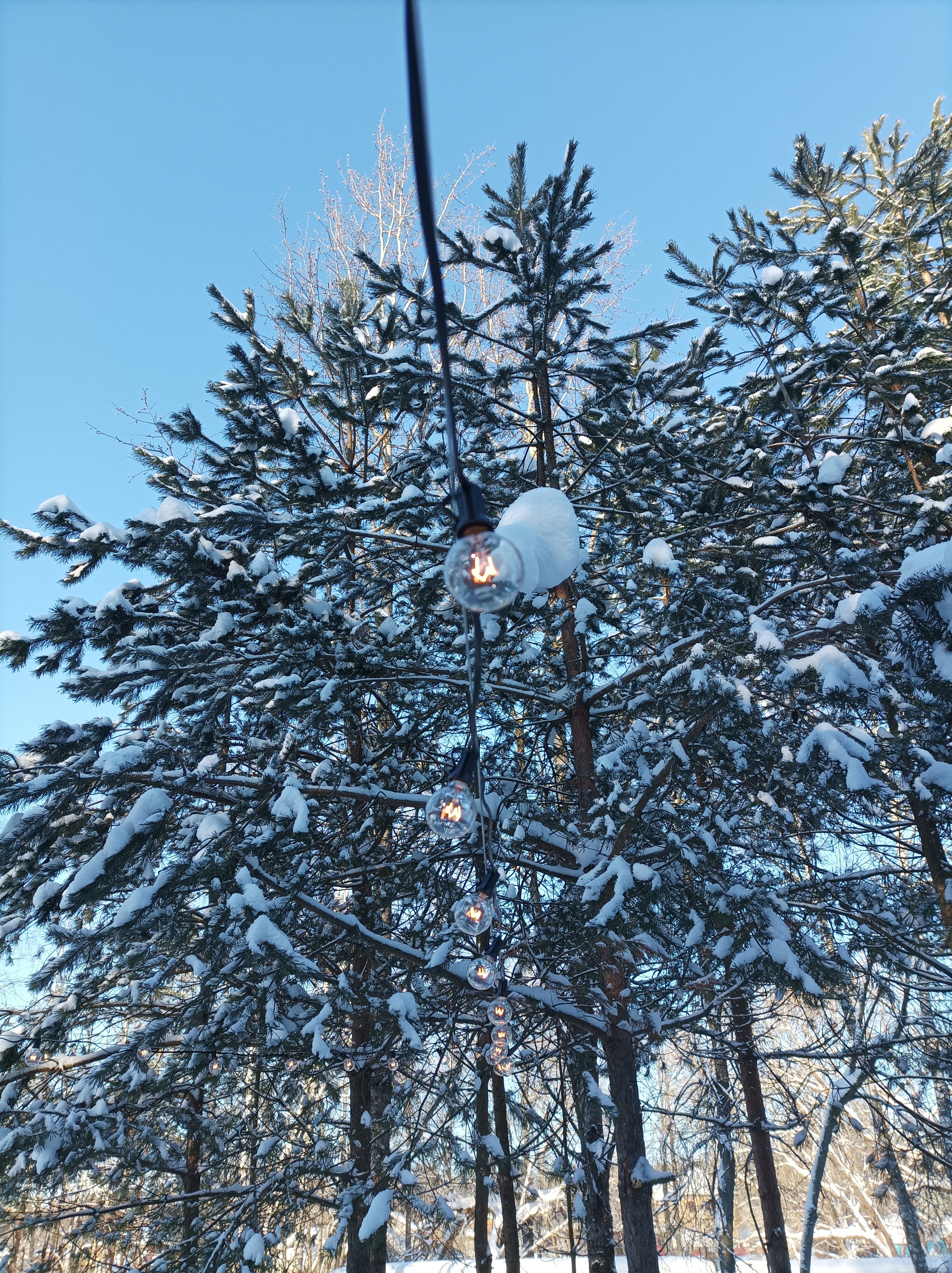 Фото Дикое подворье