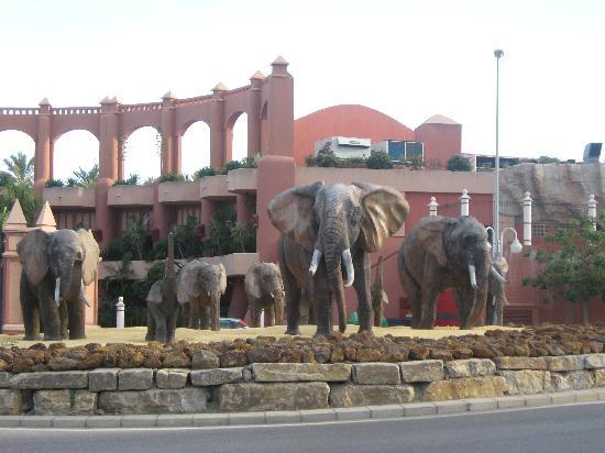 Фото Holiday World Polynesia Hotel