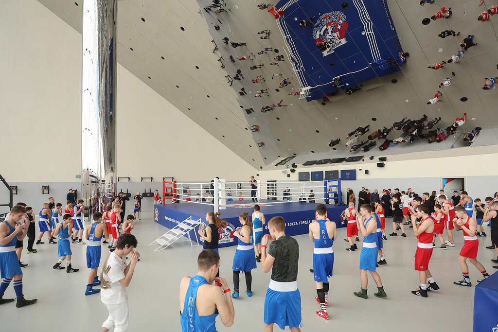 Sports Boxing Club игра