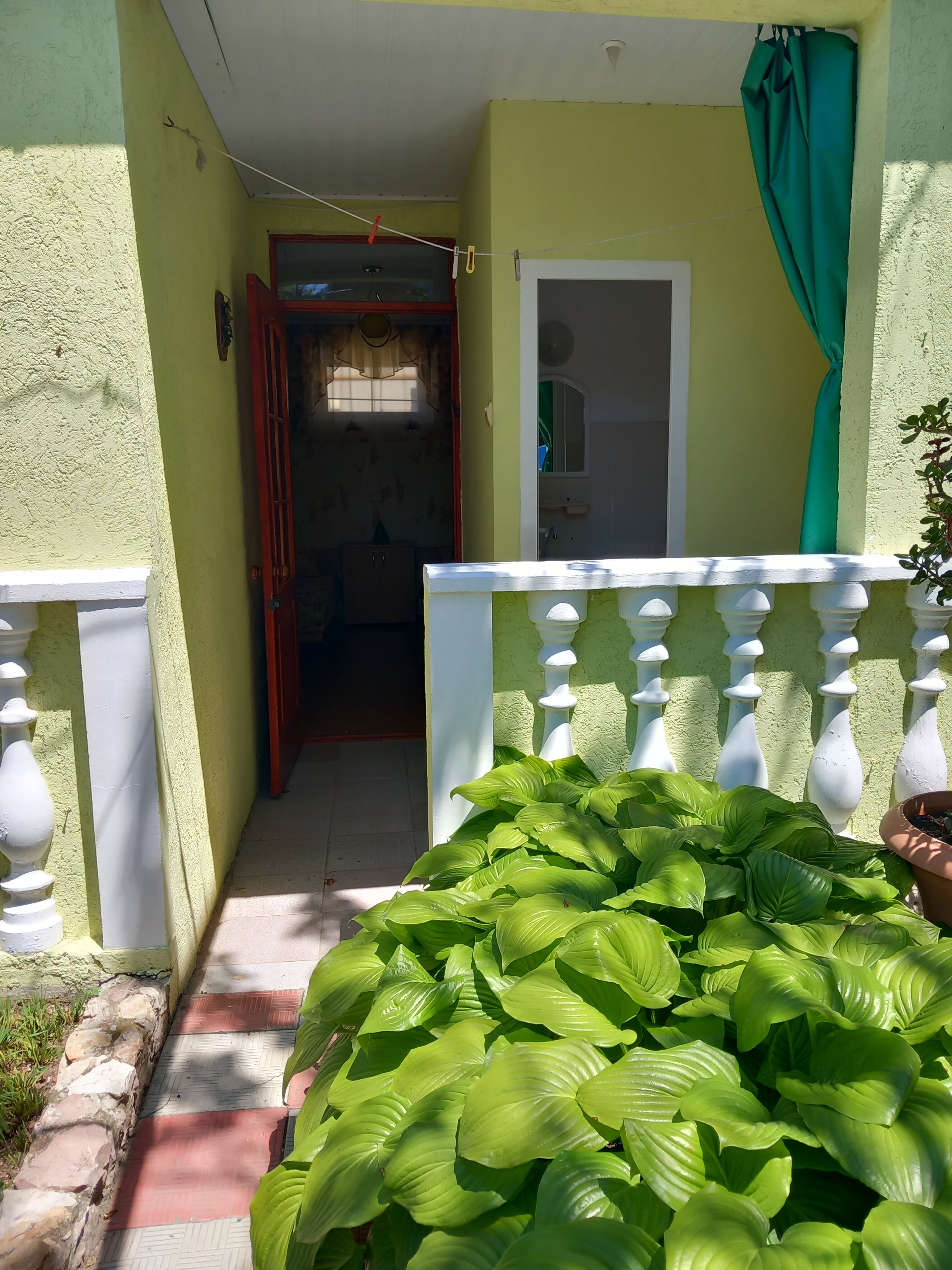 Фото Зелёный дворик