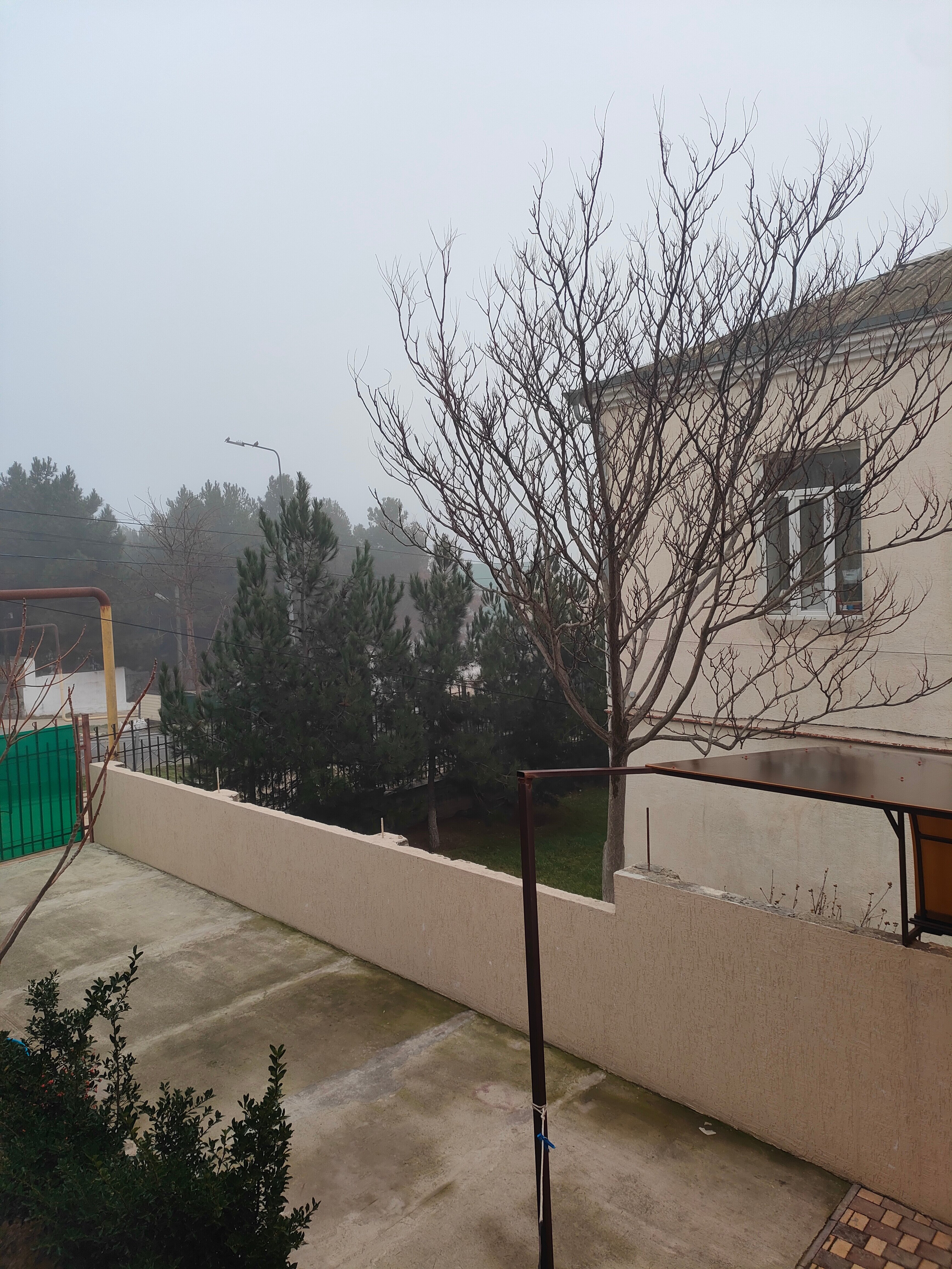 Фото Цитадель