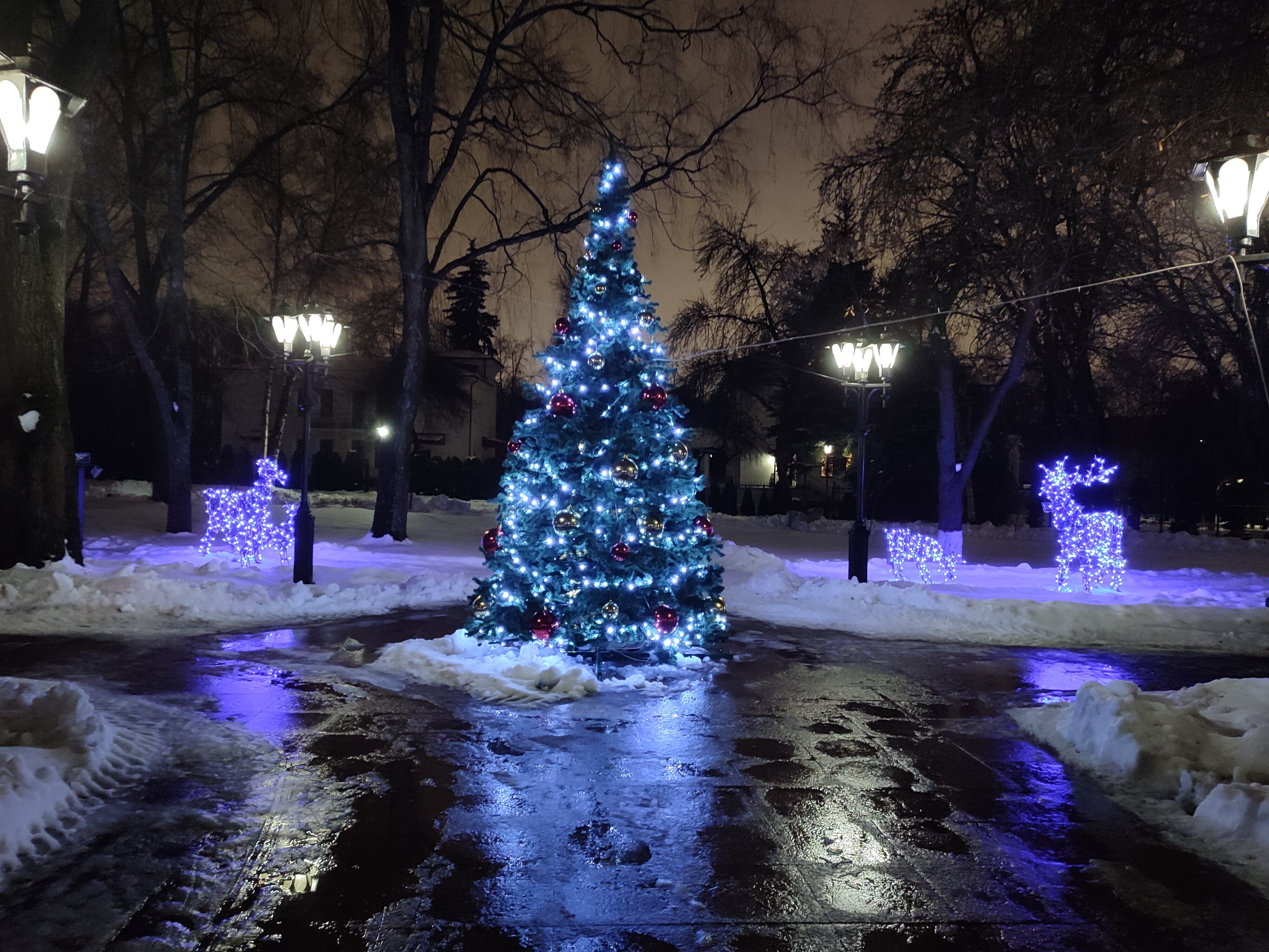 Фото Dipservice Hall