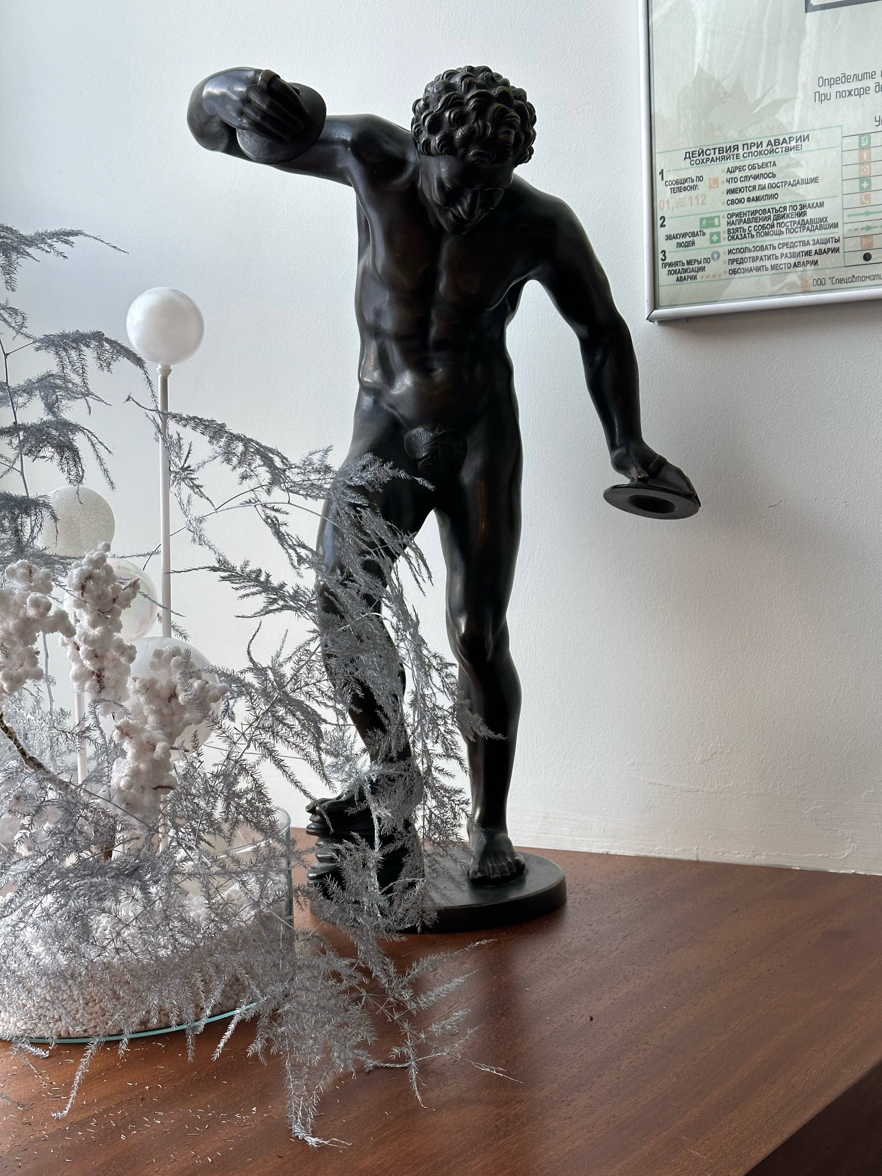 Фото Шеддок