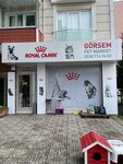 Görsem Pet Market (İstanbul, Kartal, Soğanlık Yeni Mah., Mimar Sinan Cad., 6), petshop  Kartal'dan