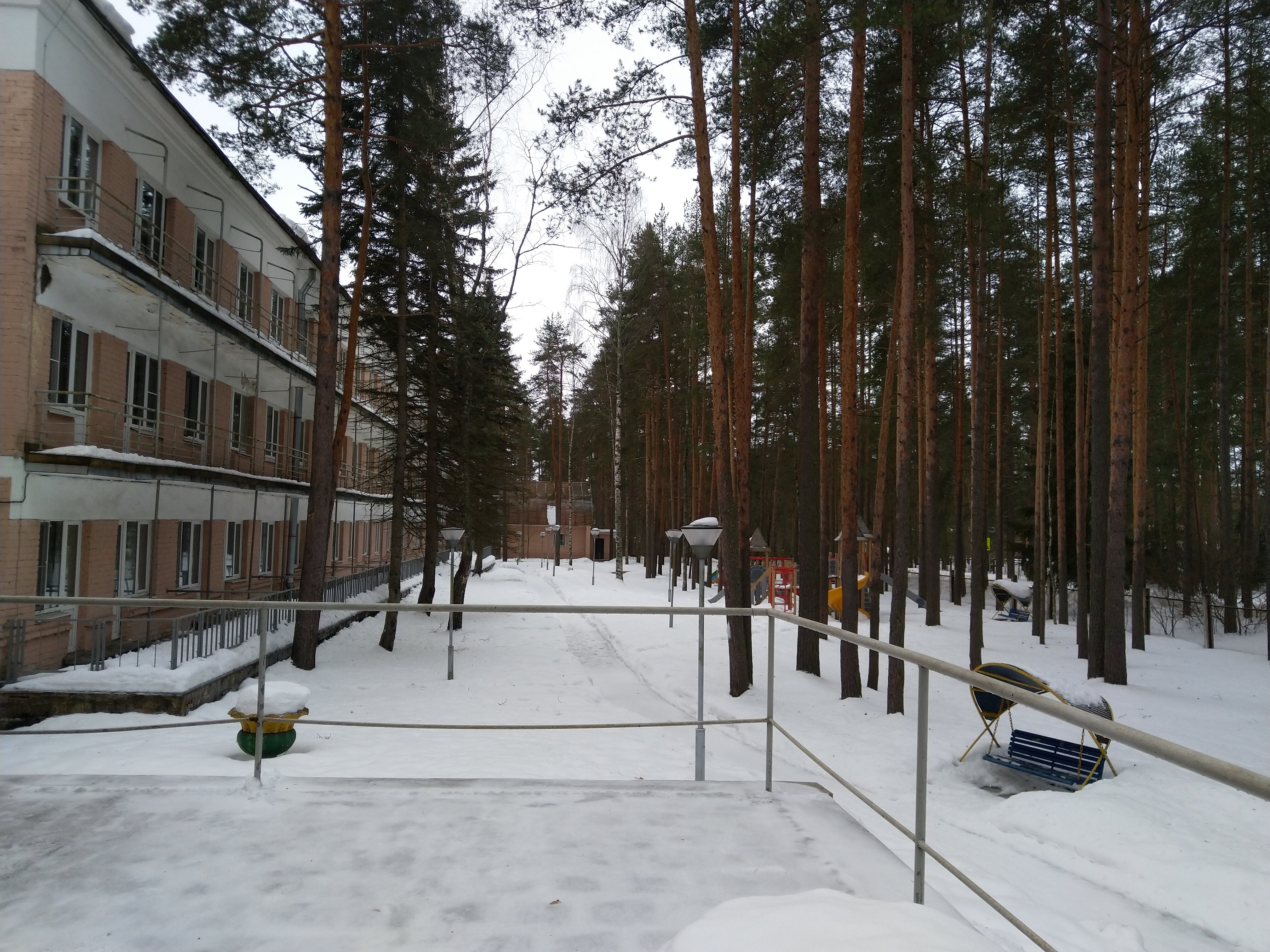 Фото Комарово