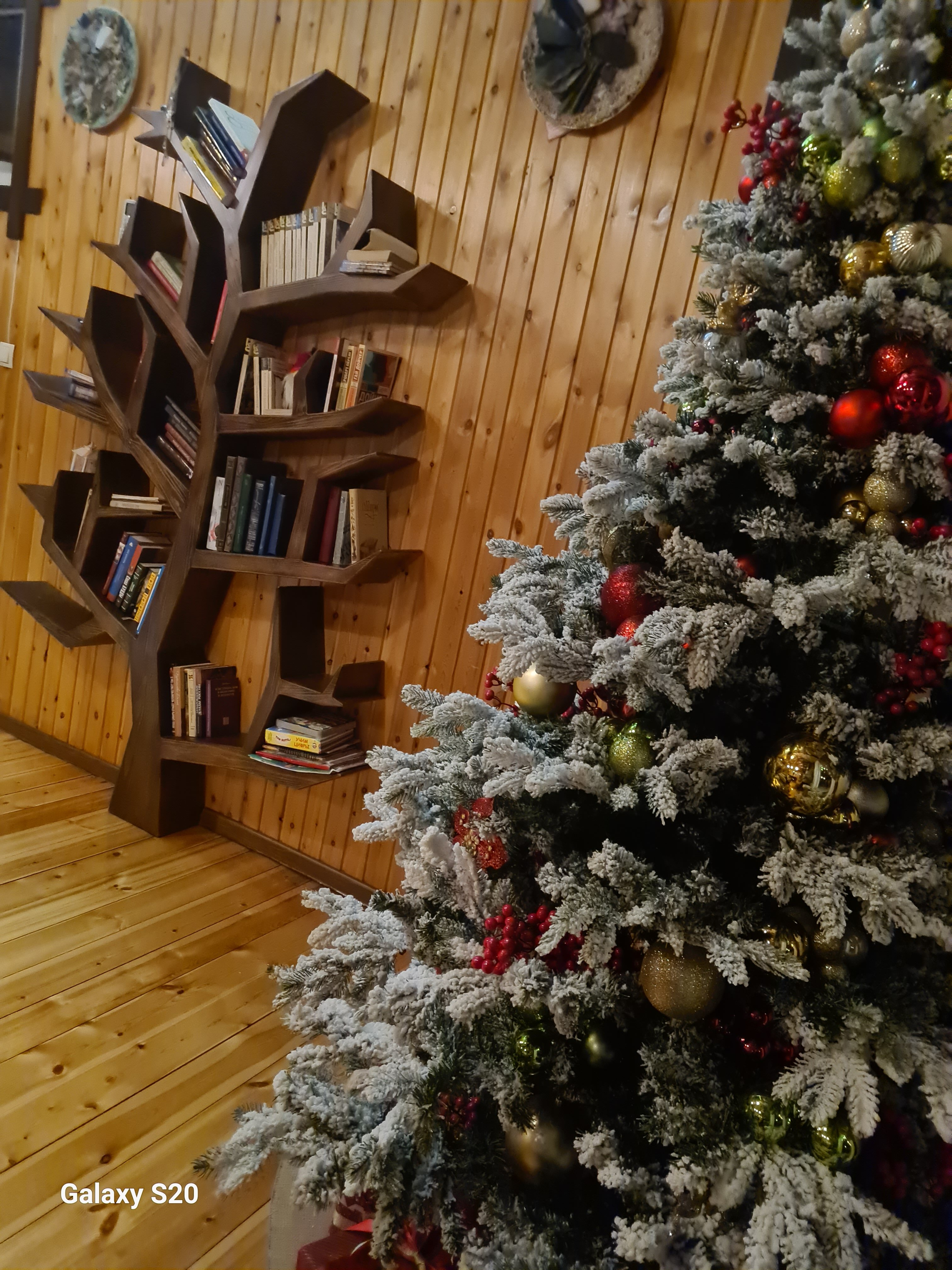 Фото Приют Романтиков