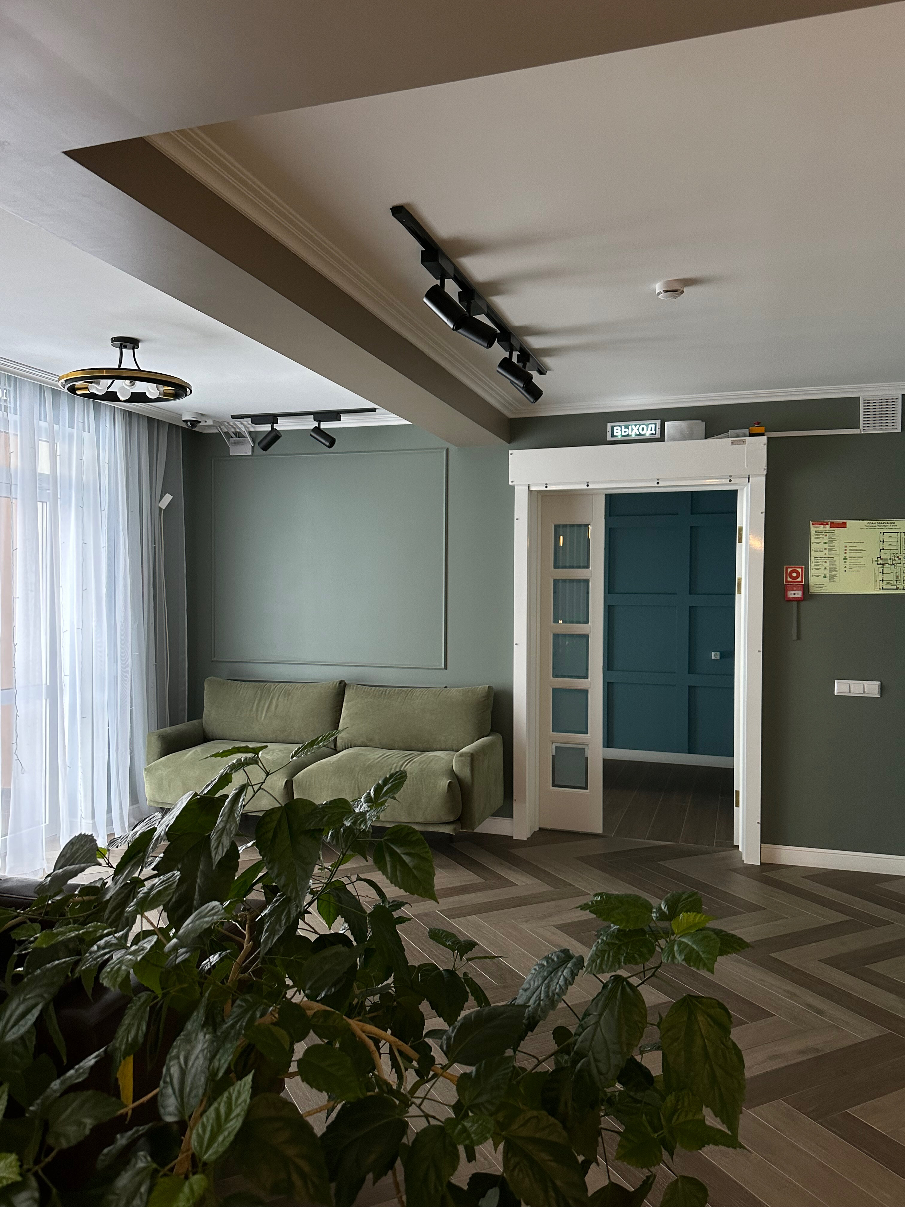 Фото Колибри