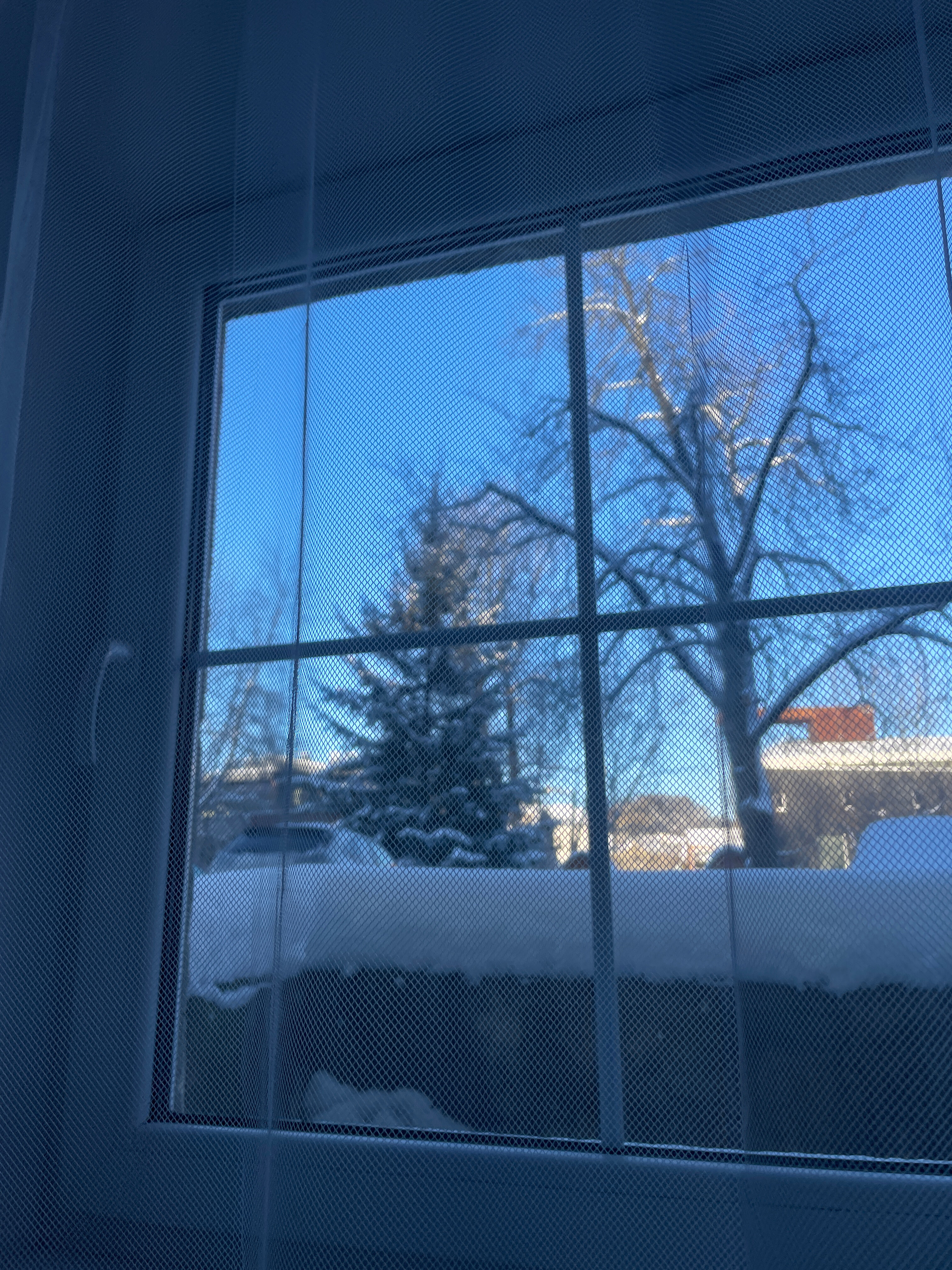 Фото Downtown Forest Hostel & Camping