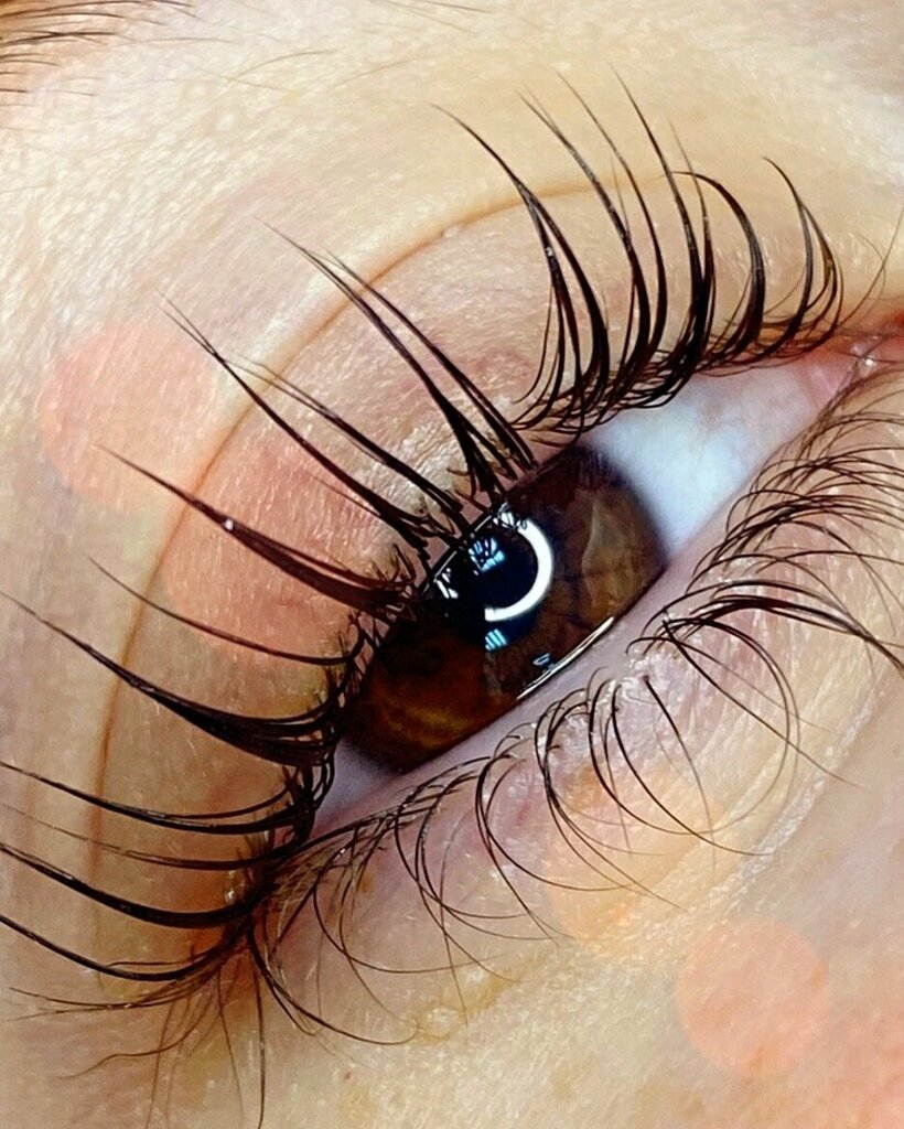 Eyebrow and eyelash salon Secretly_li, Orel, photo