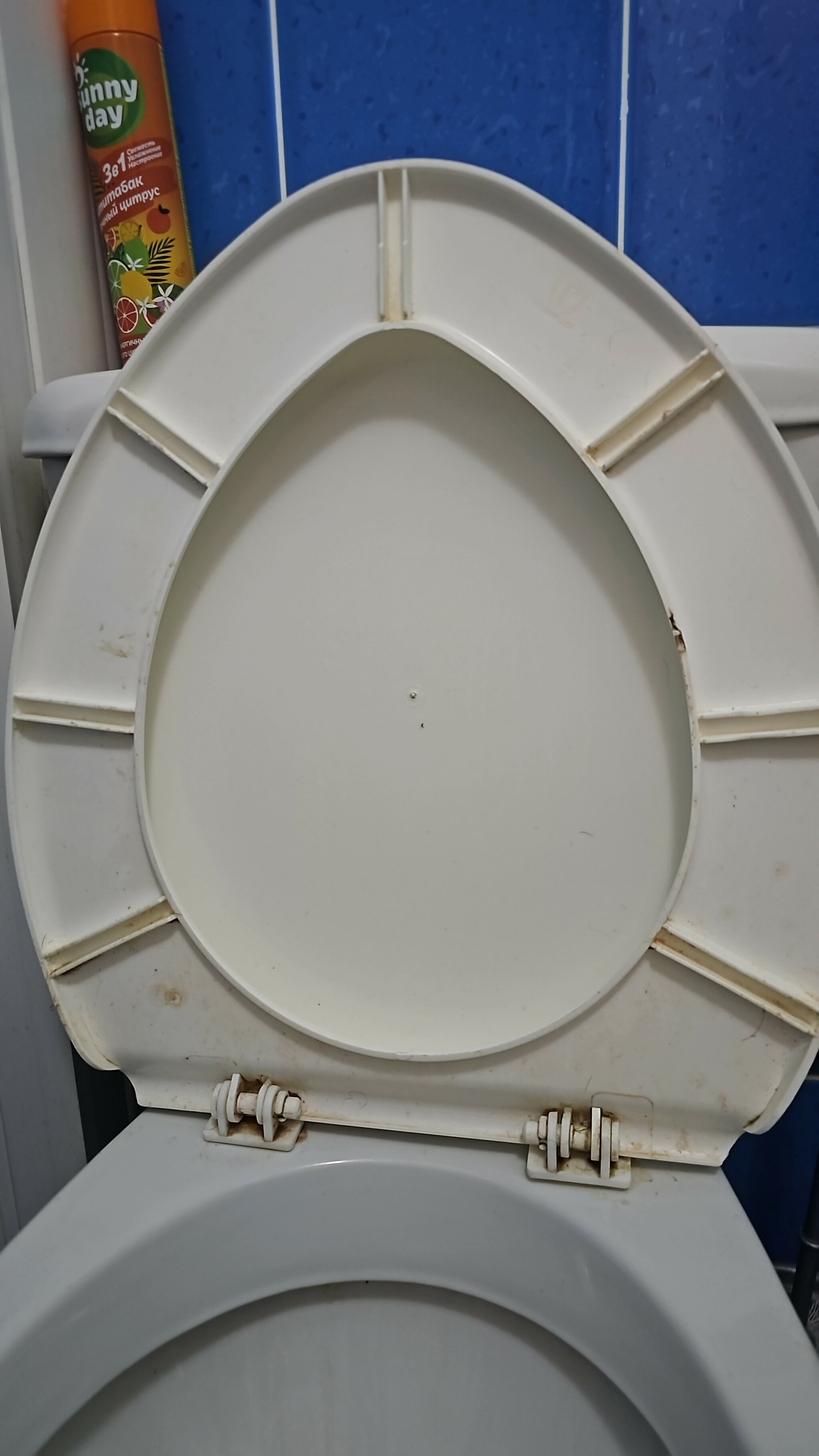 Фото Аркадия