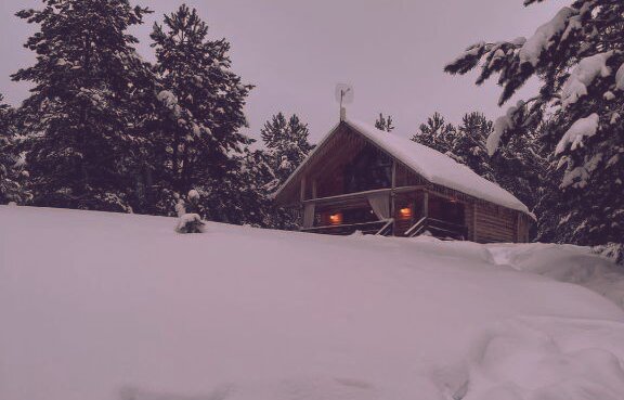 Фото Парк Чёшталей