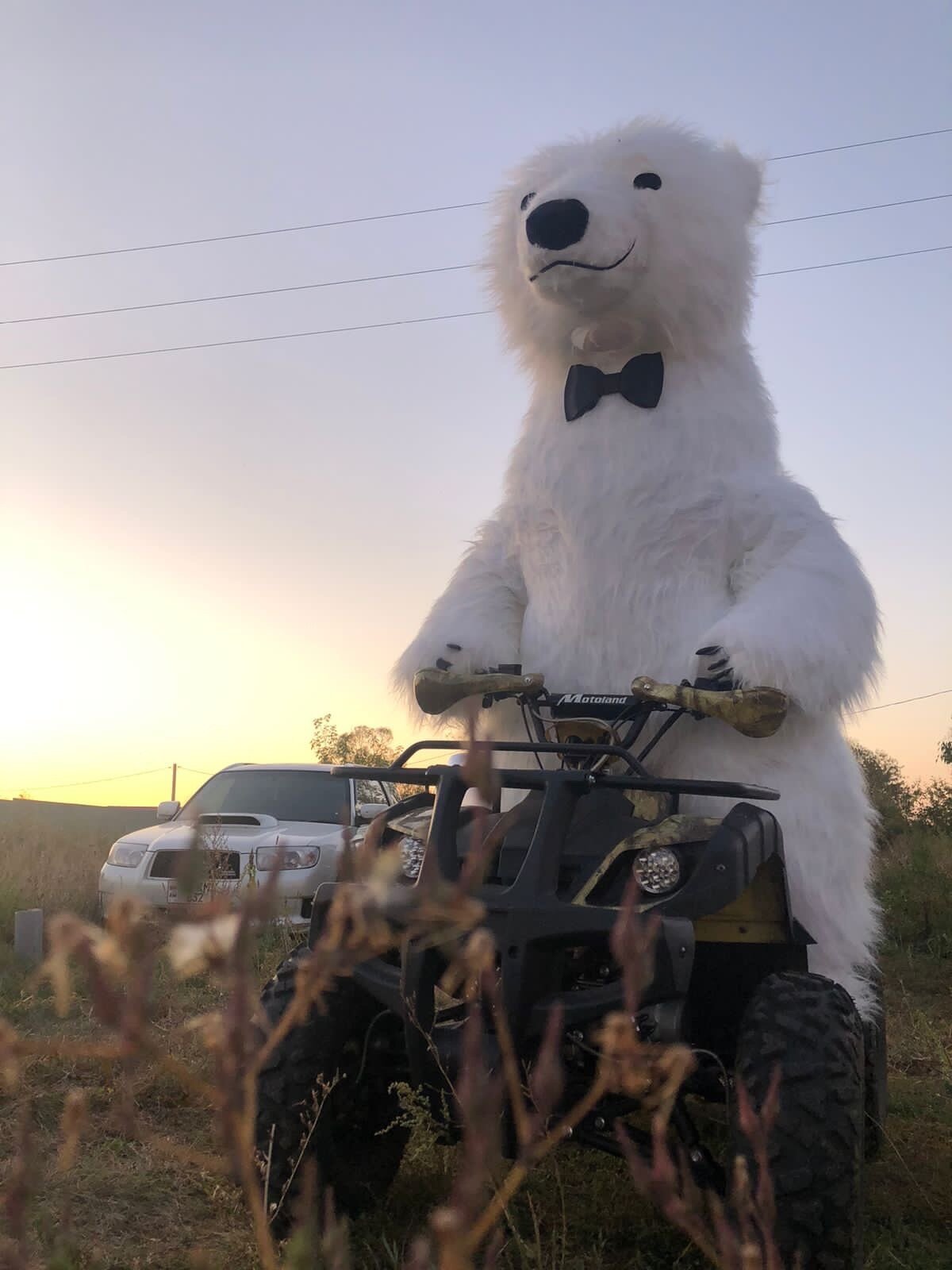 Фото Песчаный берег