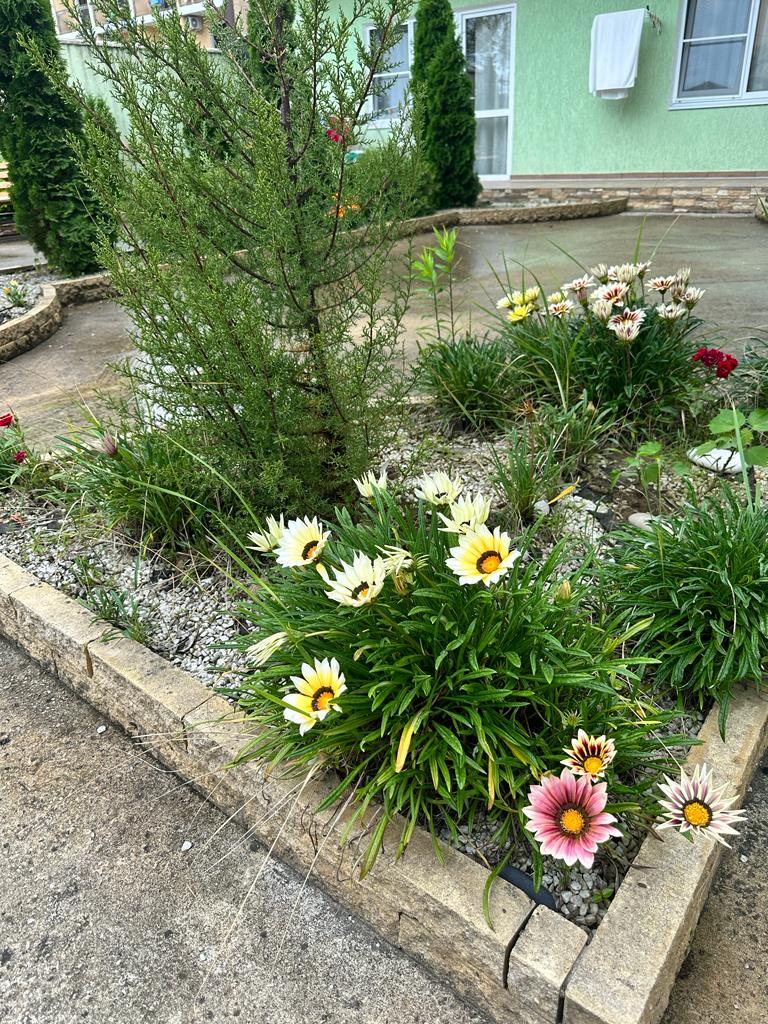 Фото Тихая гавань