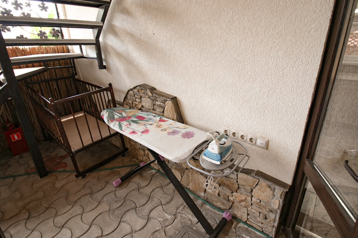 Фото Дельфиния