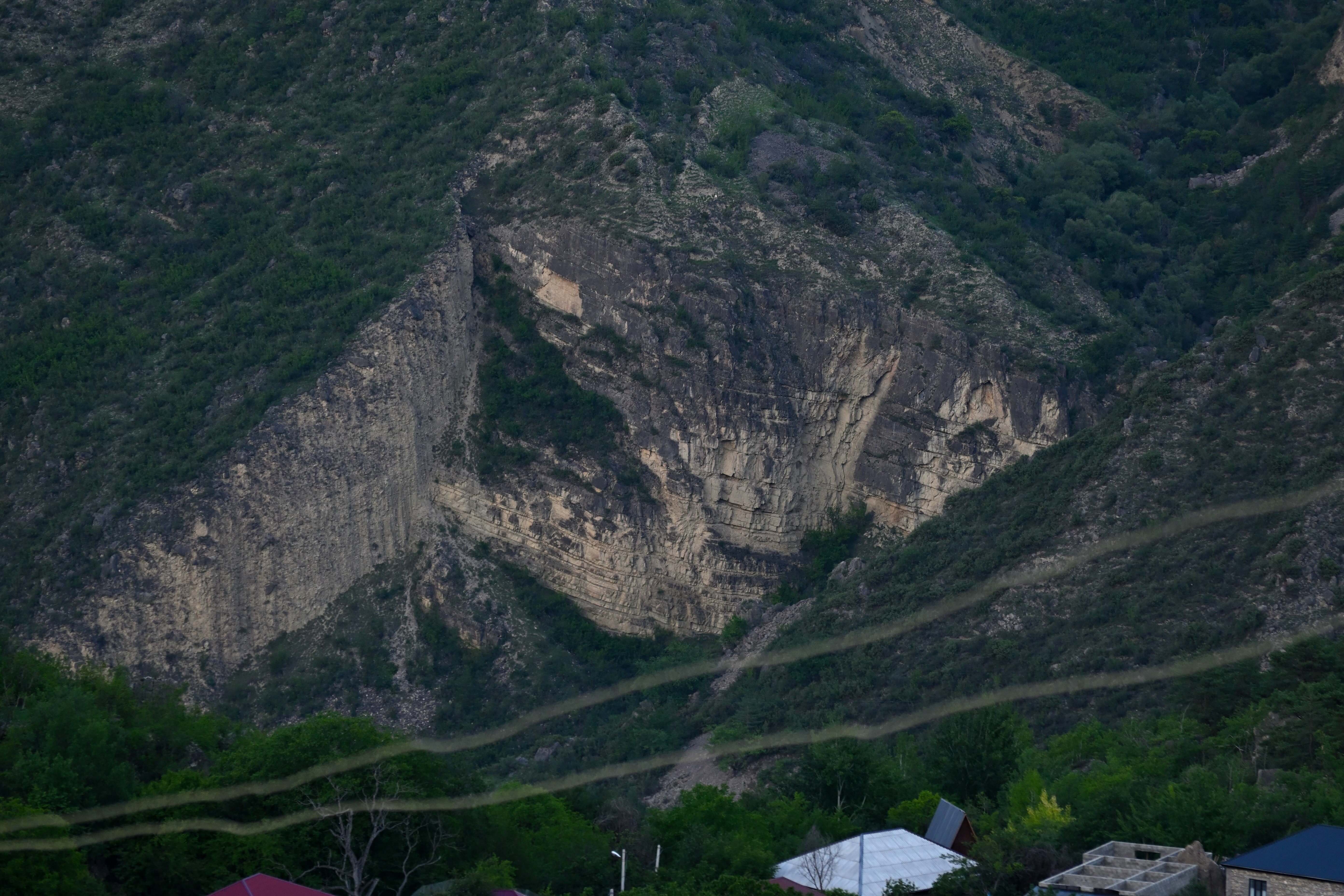 Фото Родное гнездо