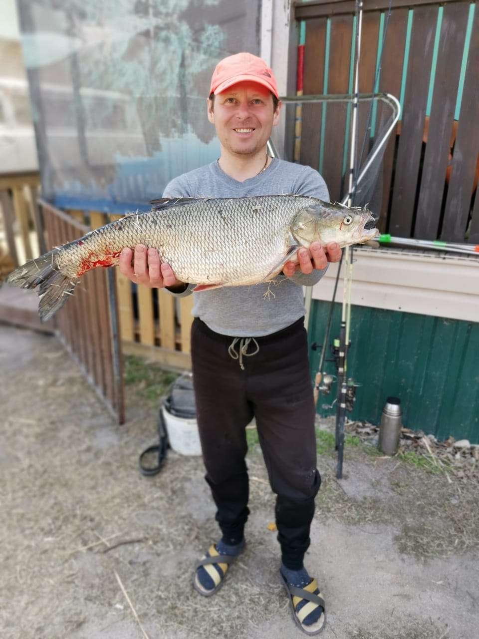 Фото Камышовый рай