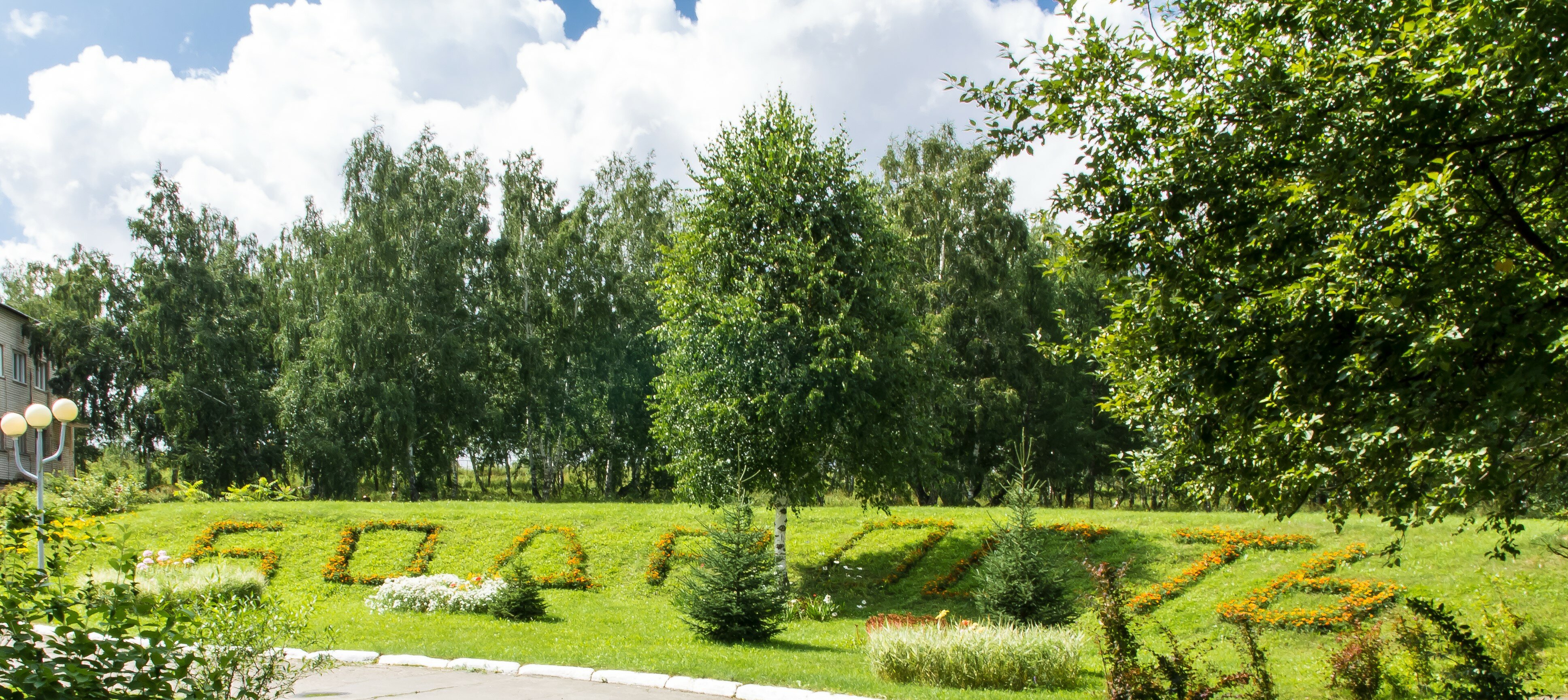 Фото Бодрость