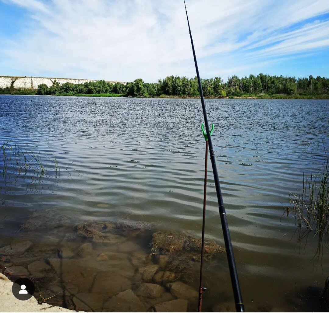 Фото База отдыха Дон
