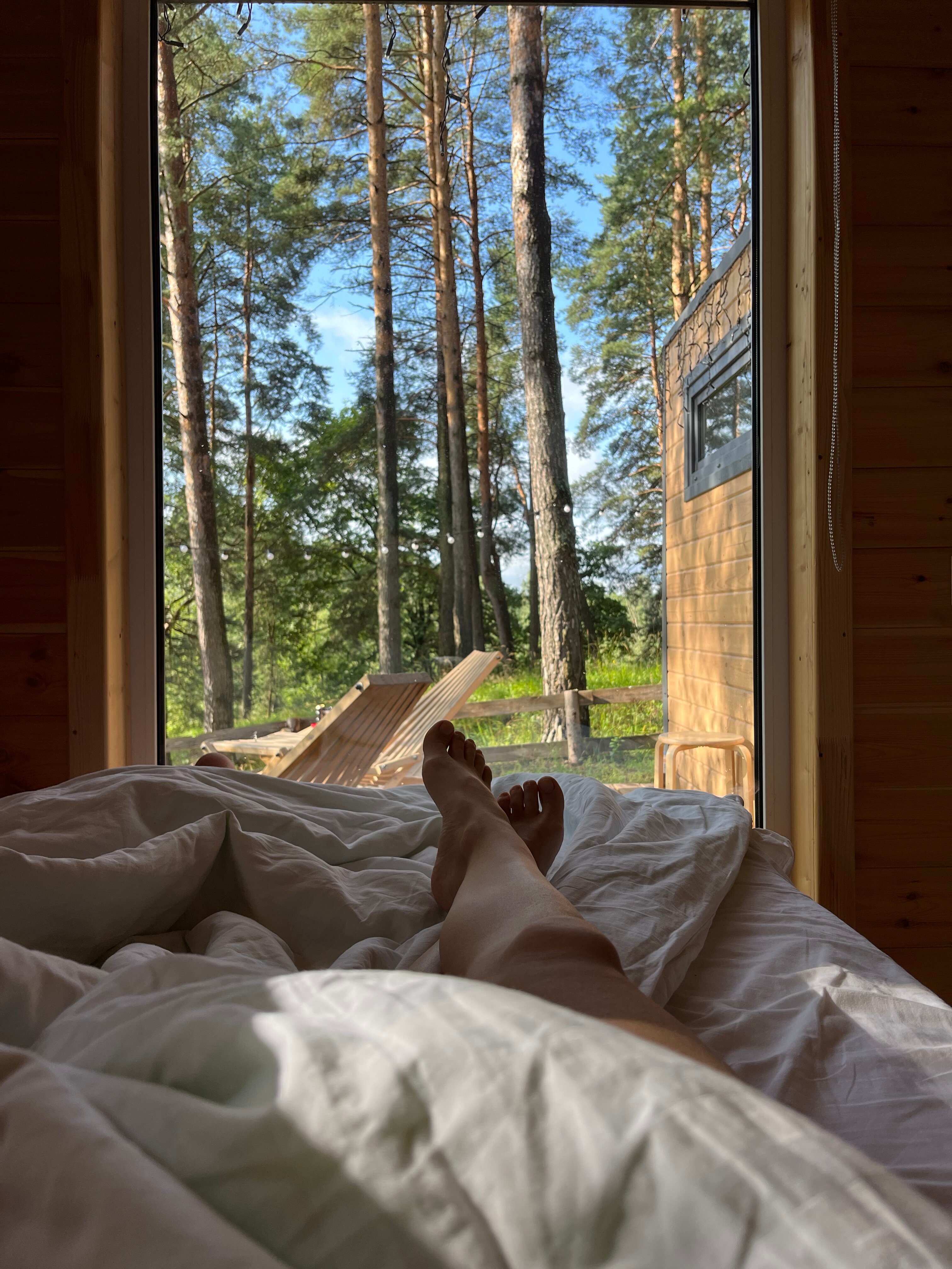 Фото Лесной Привал