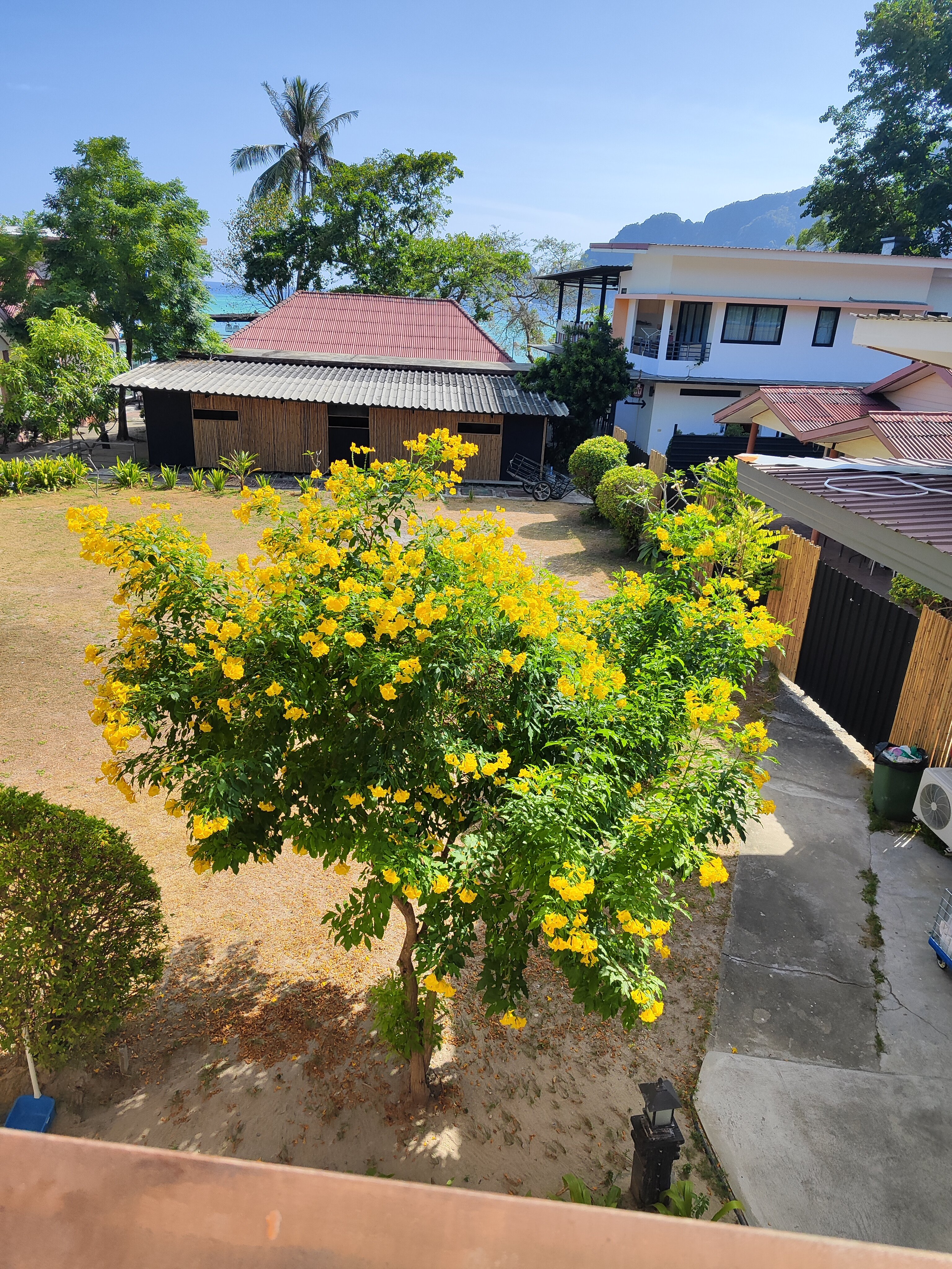 Фото Phi Phi Rimlay Cottage