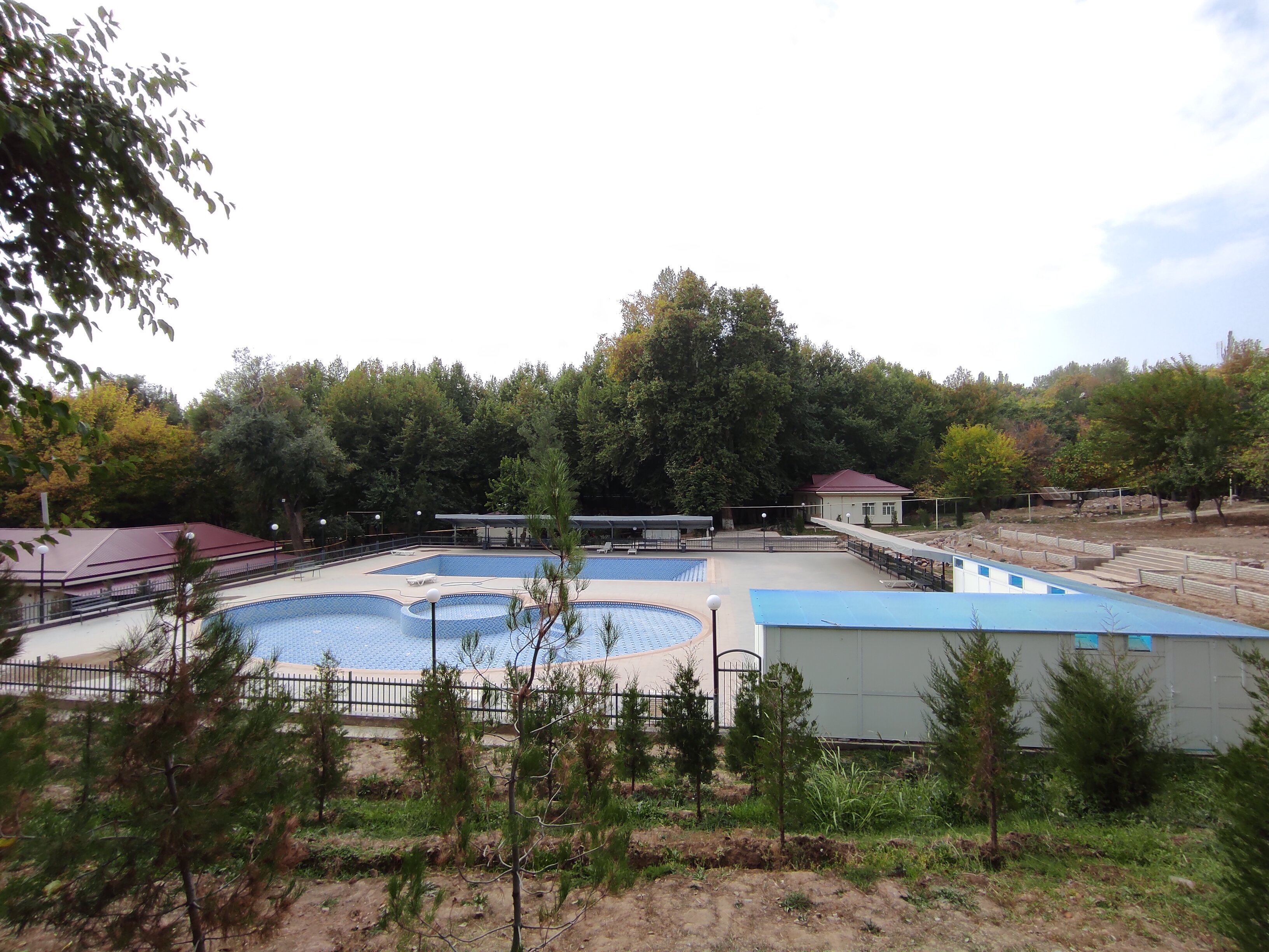 Seksual trannies HD video