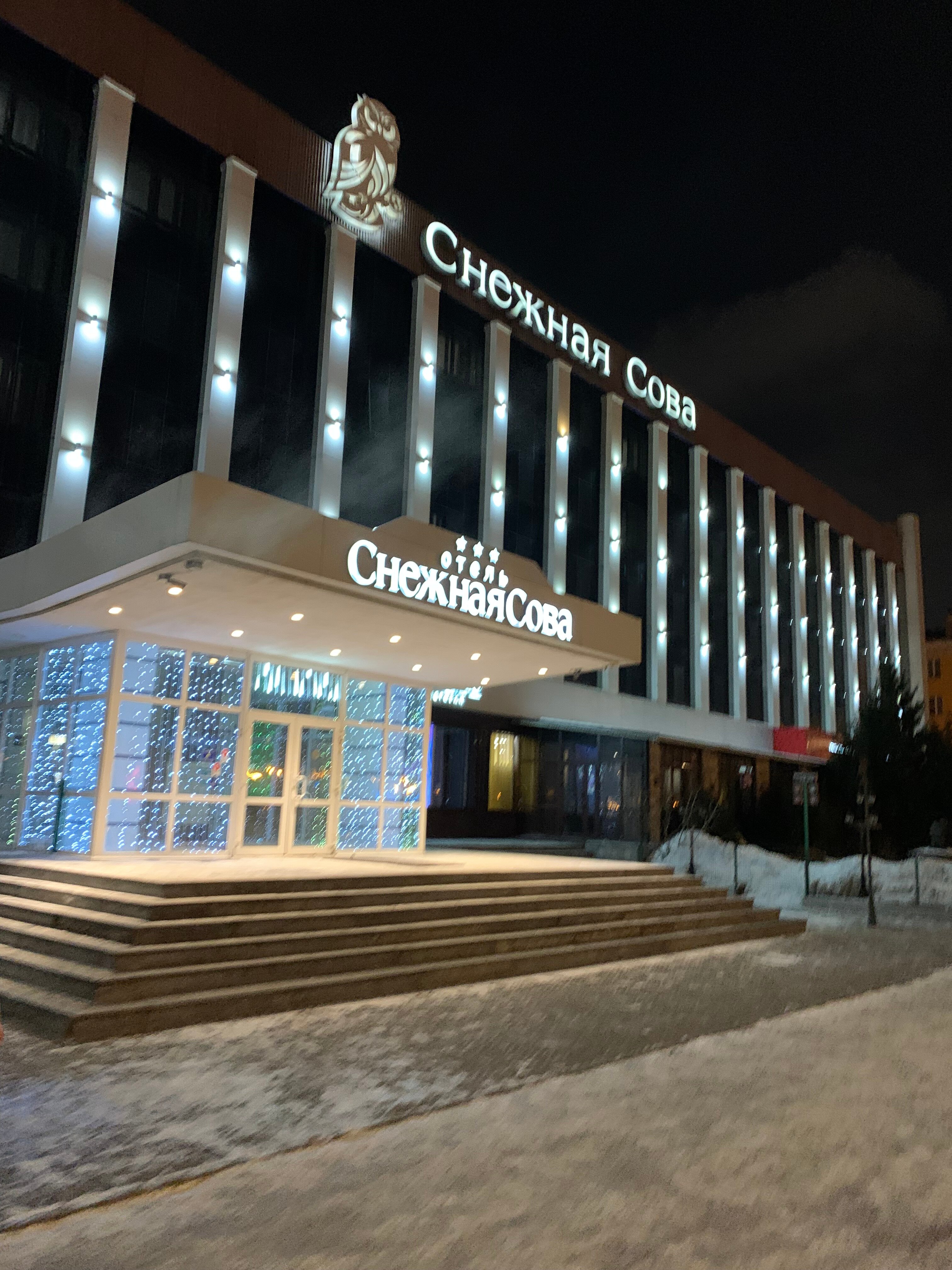 Фото Снежная сова