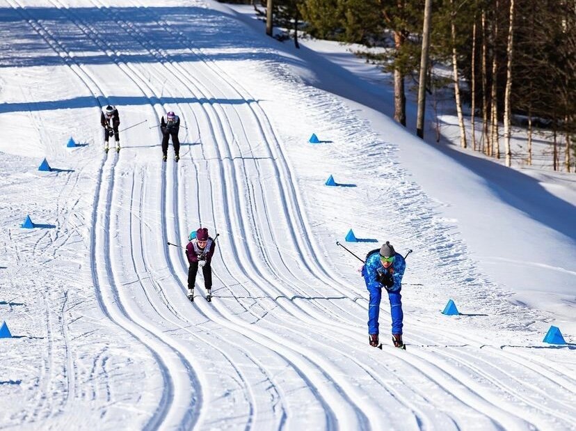 Фото Подкова