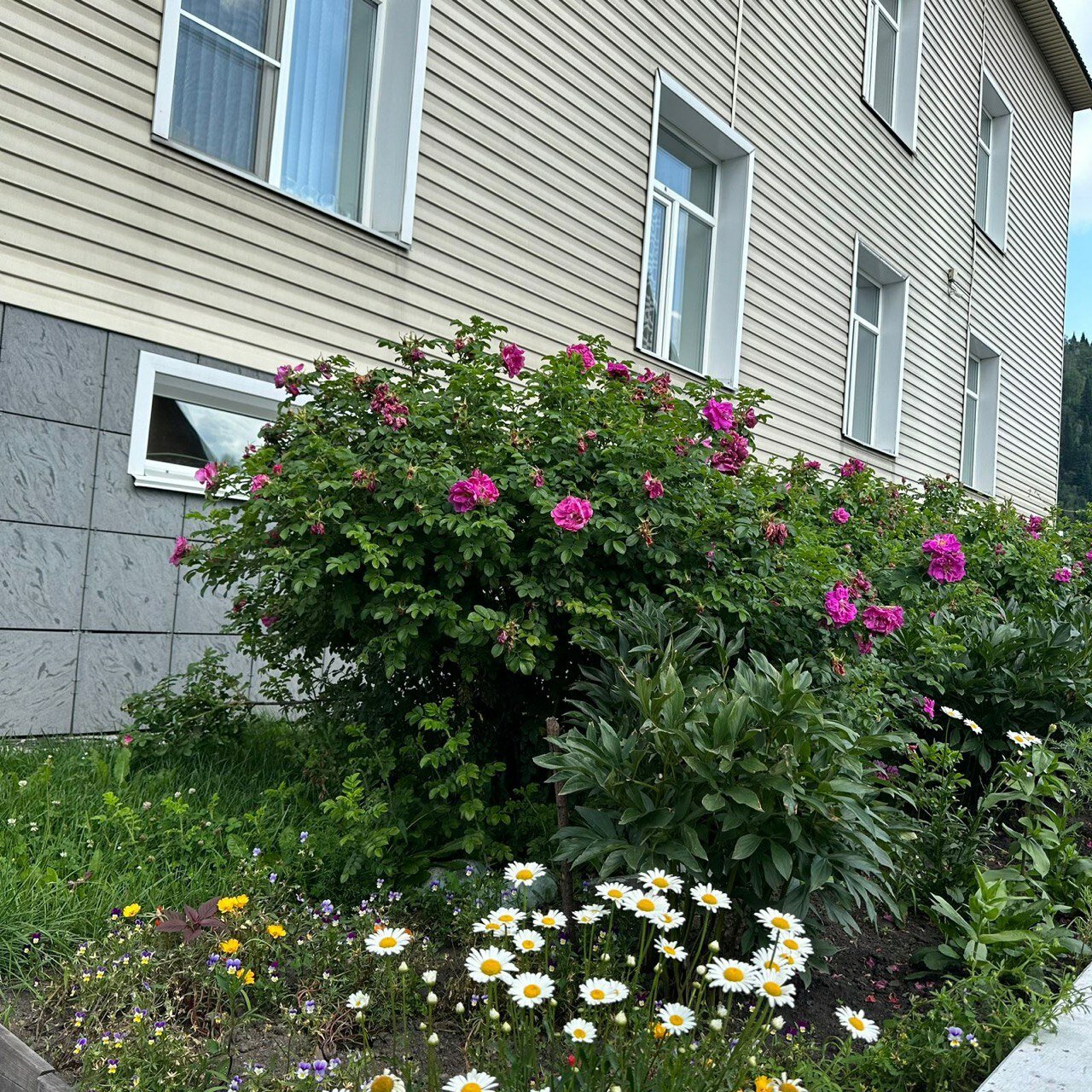 Фото Татьянин Дом