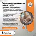 ABS-Marketing (Astrakhova avenue, 10А) ، تسويق إلكتروني