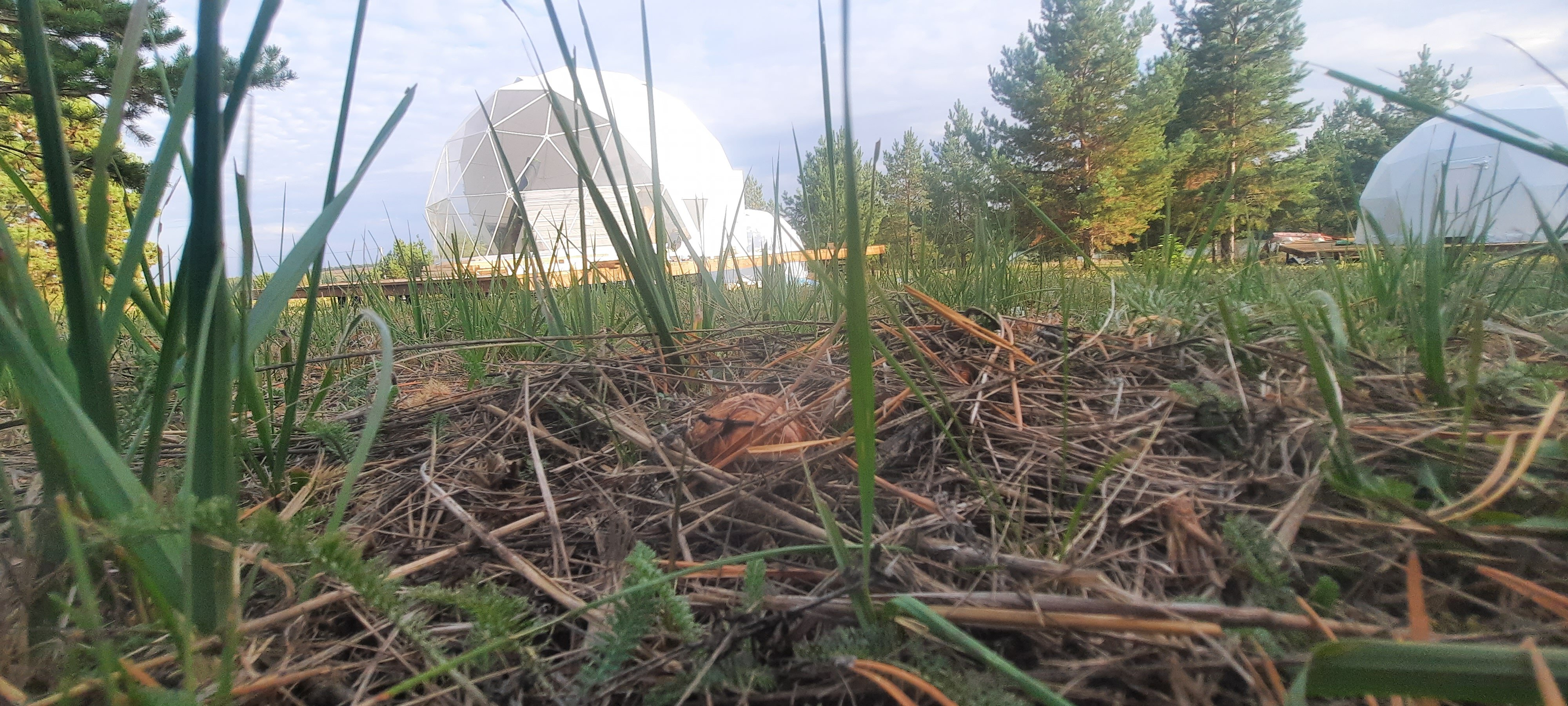 Фото Глэмпберри