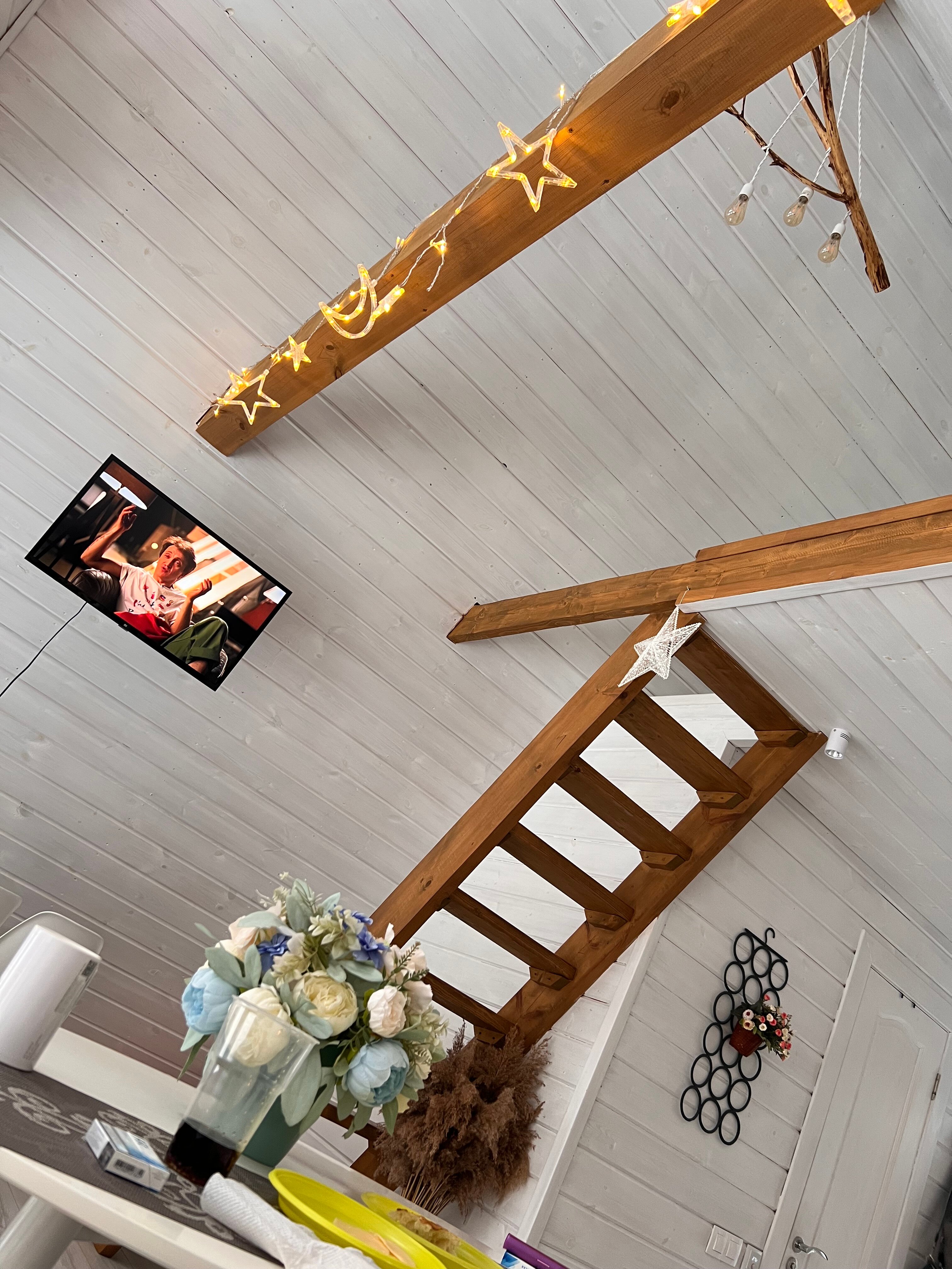 Фото Хайд Форест