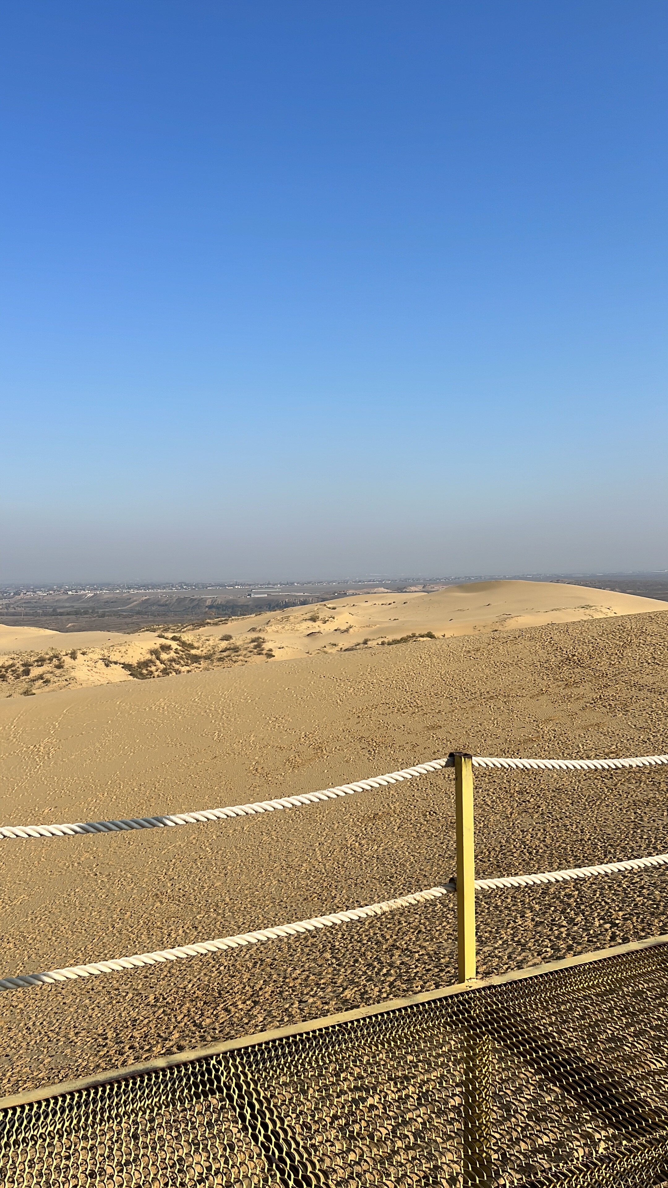 Фото Жемчужина